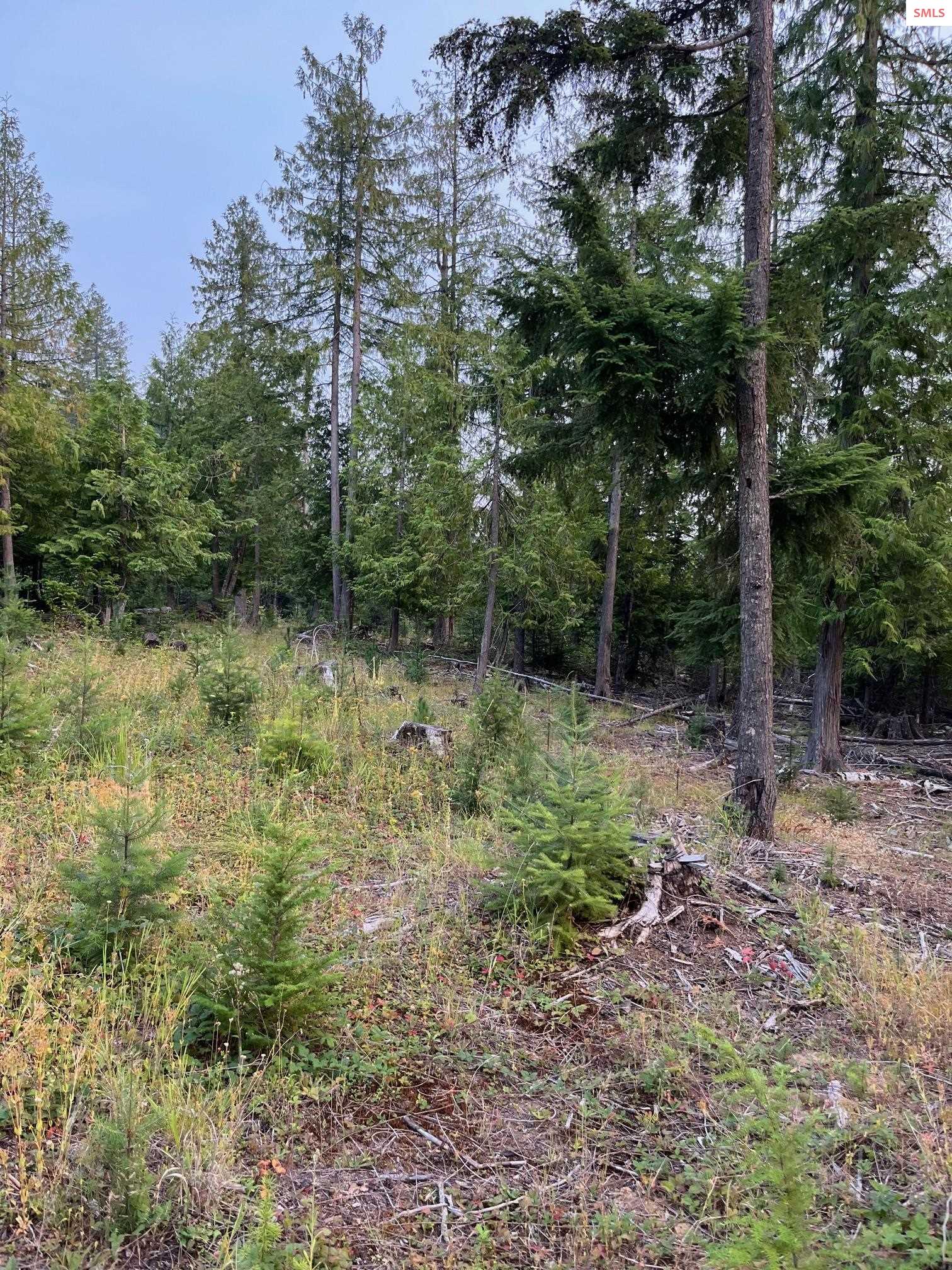 Property photo 3 for NNA Grouse Mountain Rd