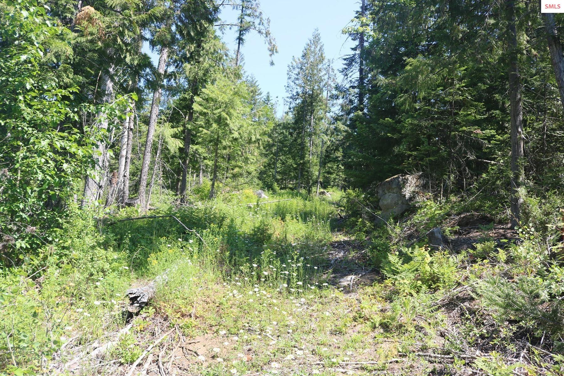 Property photo 2 for 2110 Mushroom Kingdom Trl