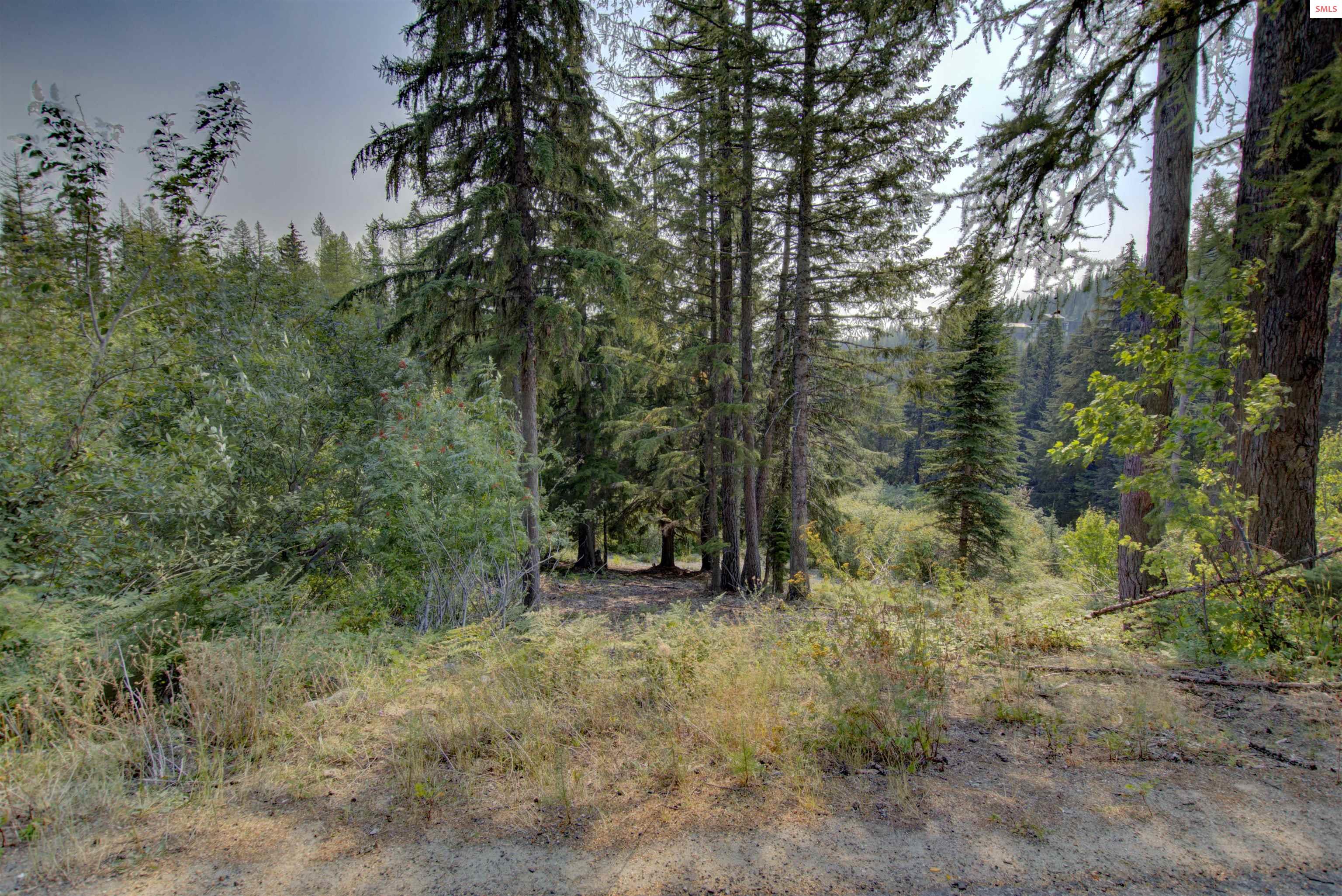 Property photo 2 for Blk4 Lot4 Ullr Dr