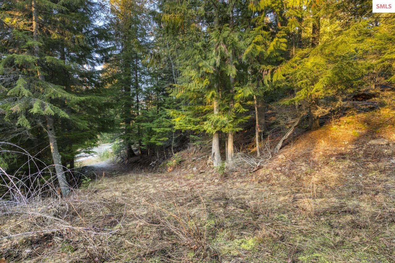 Property photo 3 for NNA White Cloud