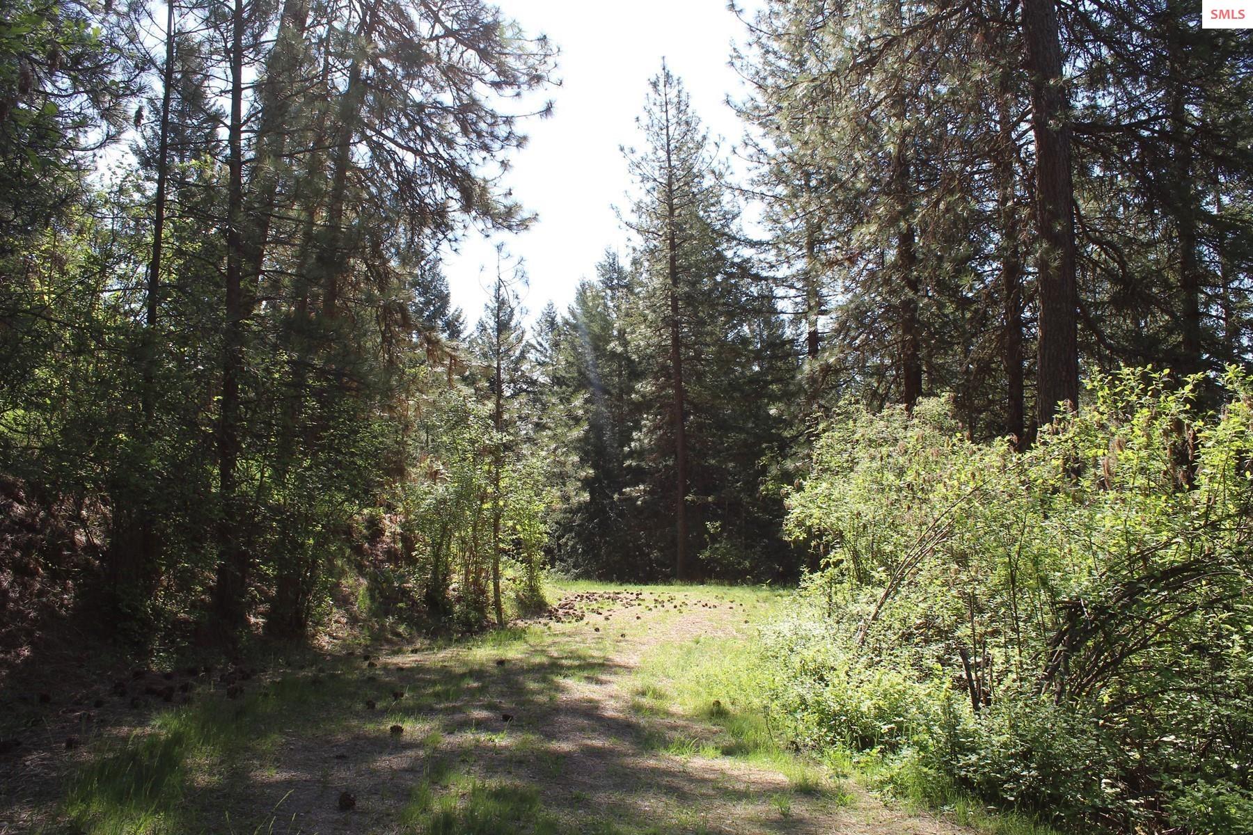 Property photo 3 for 881 Allen Rd
