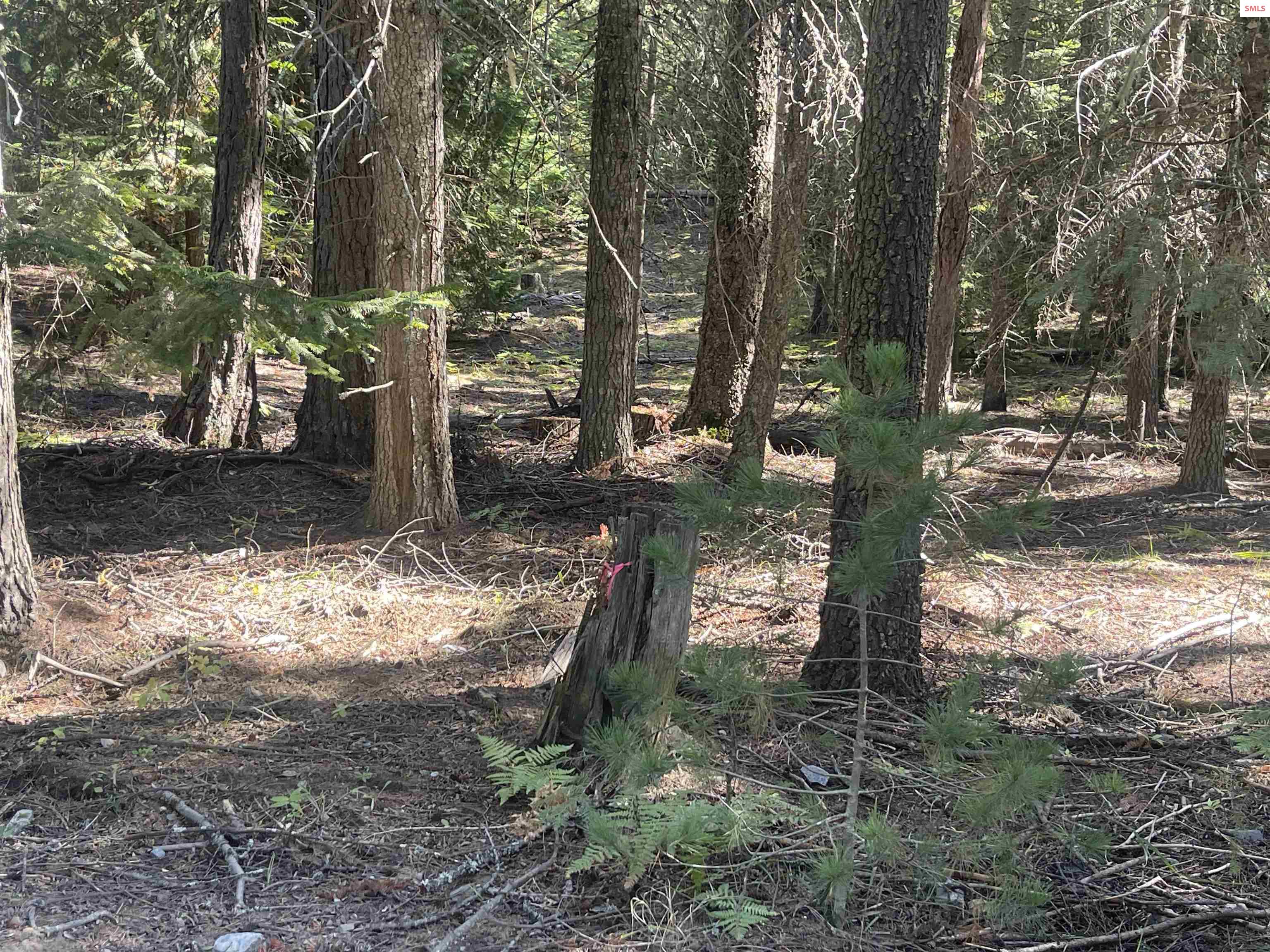 Property photo 3 for NNA Wolverine Rd  Tract 2