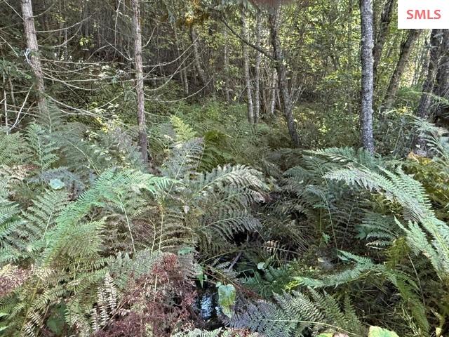 Property photo 3 for NNA (4650A) Gold Cup Mtn Rd.