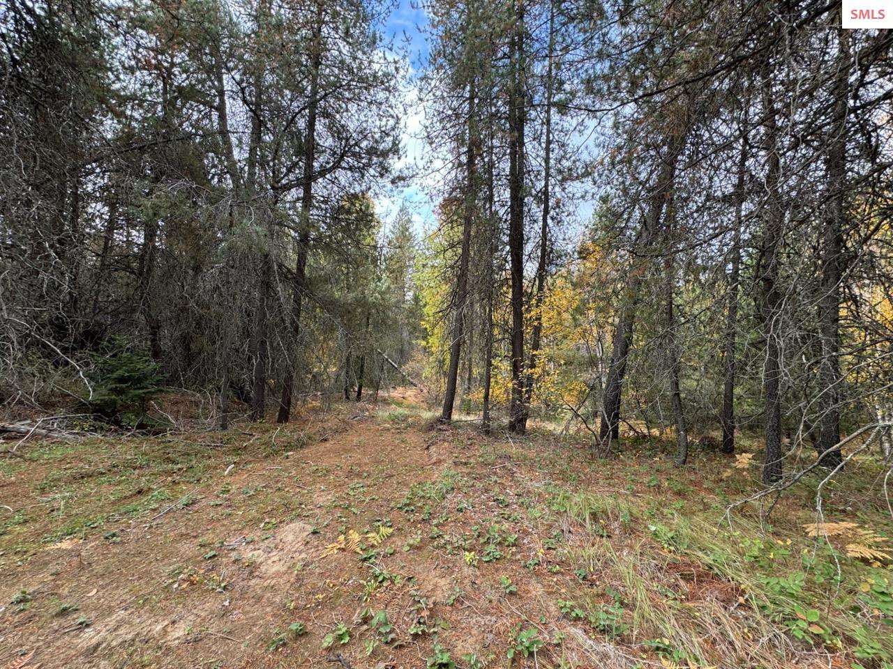 Property photo 2 for NNA Rascals Rd