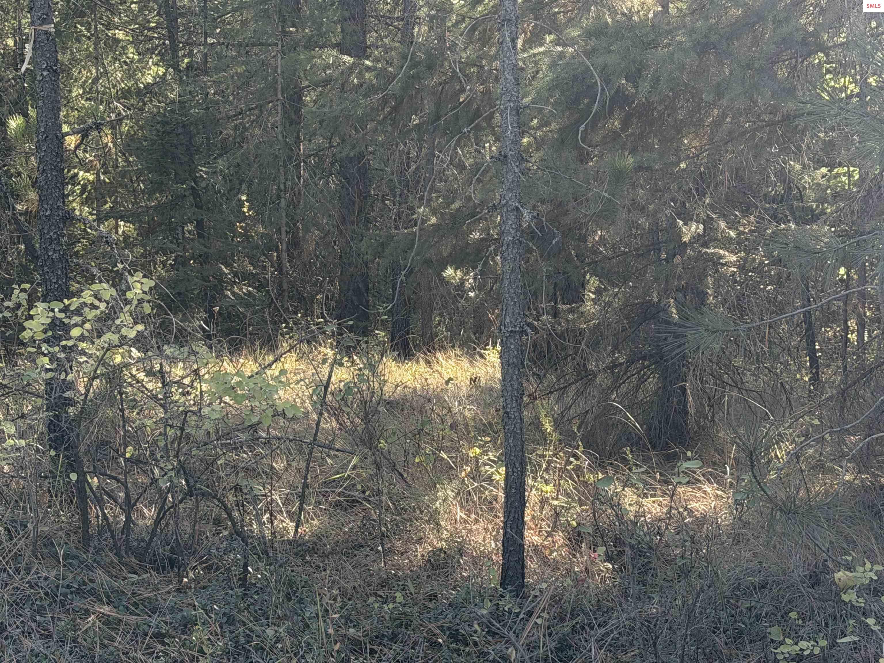 Property photo 3 for NNA Gray Eagle Rd.