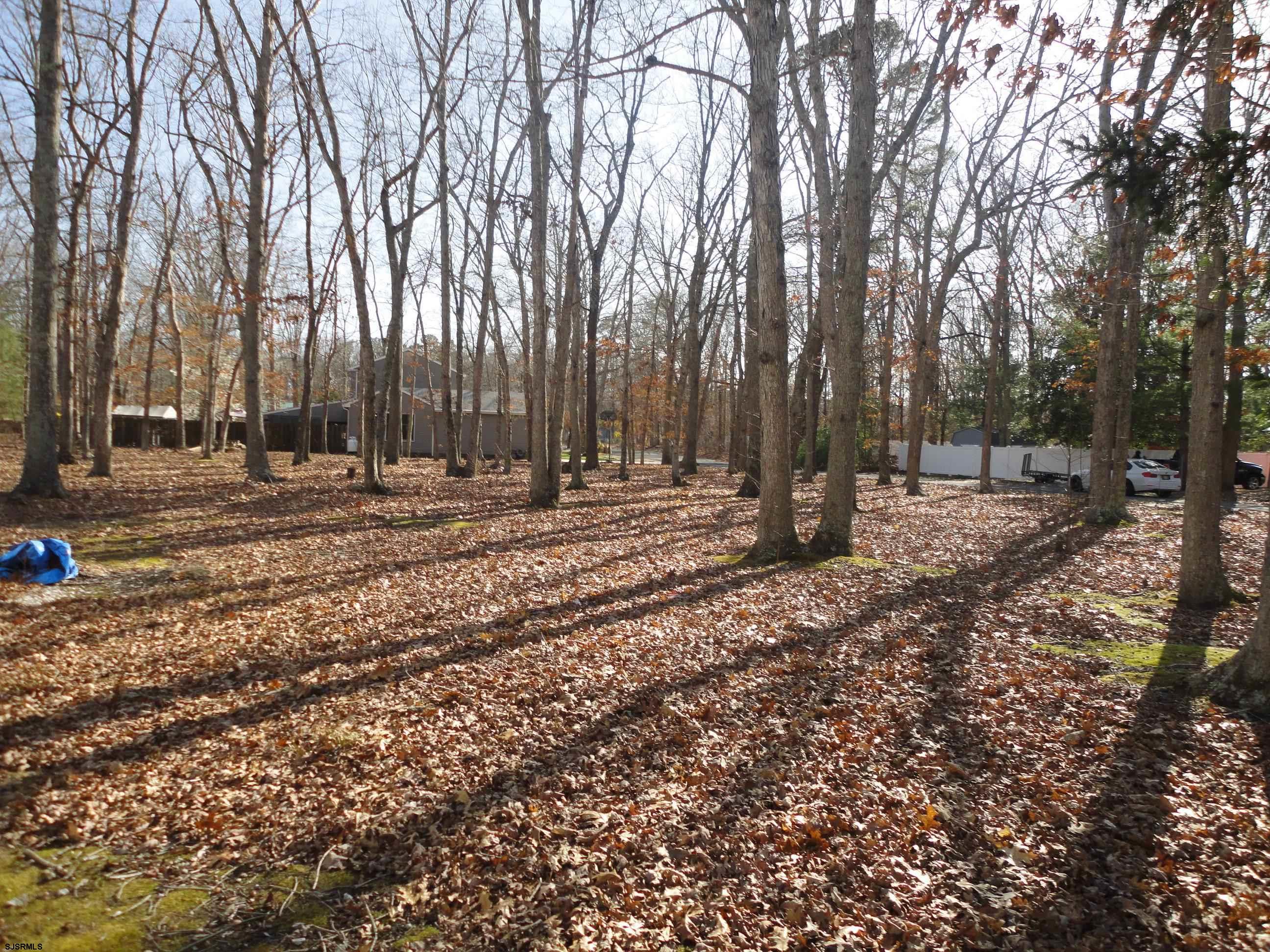 595717 | Photo 23