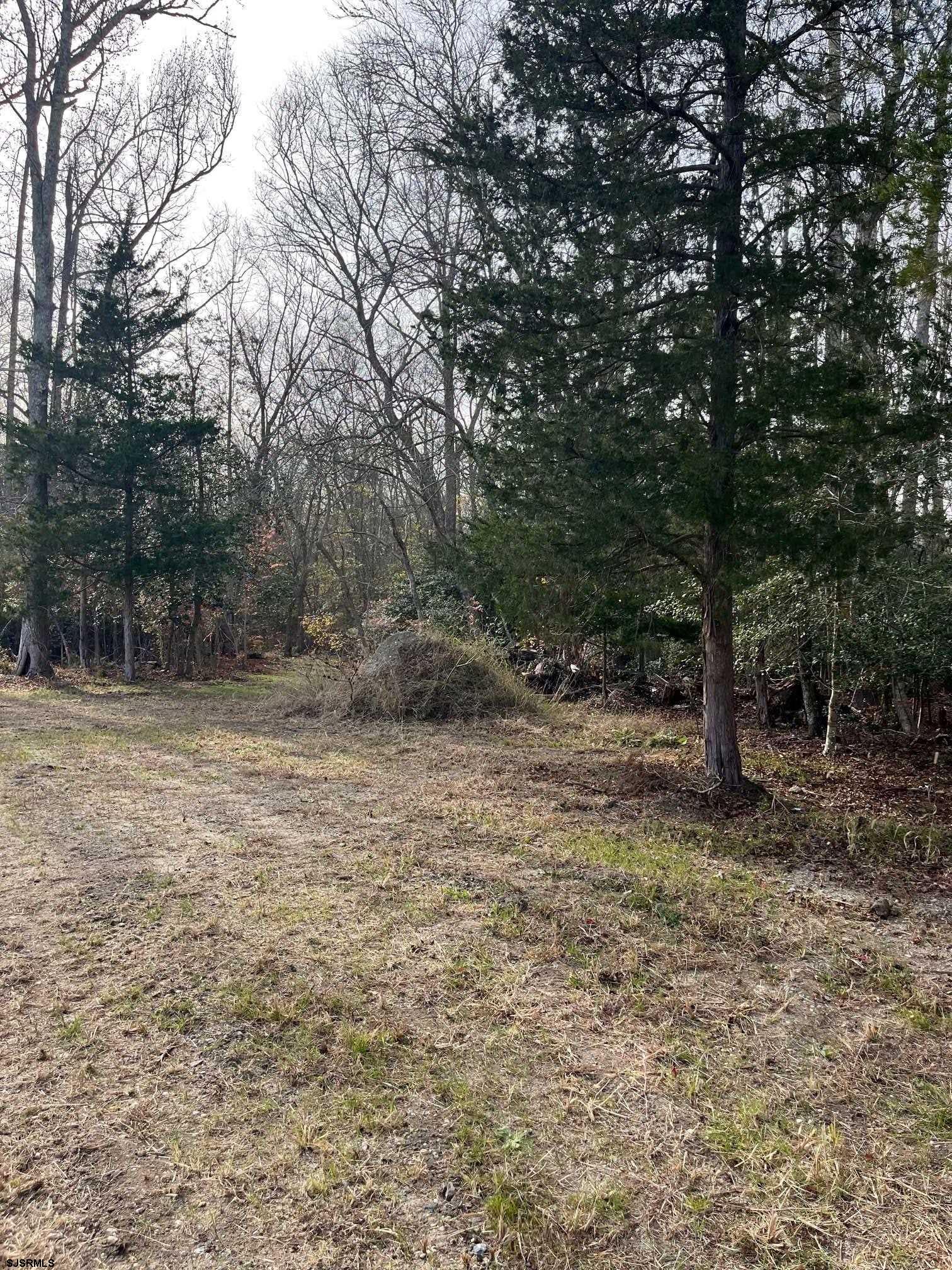 225 Zion Road - Picture 2