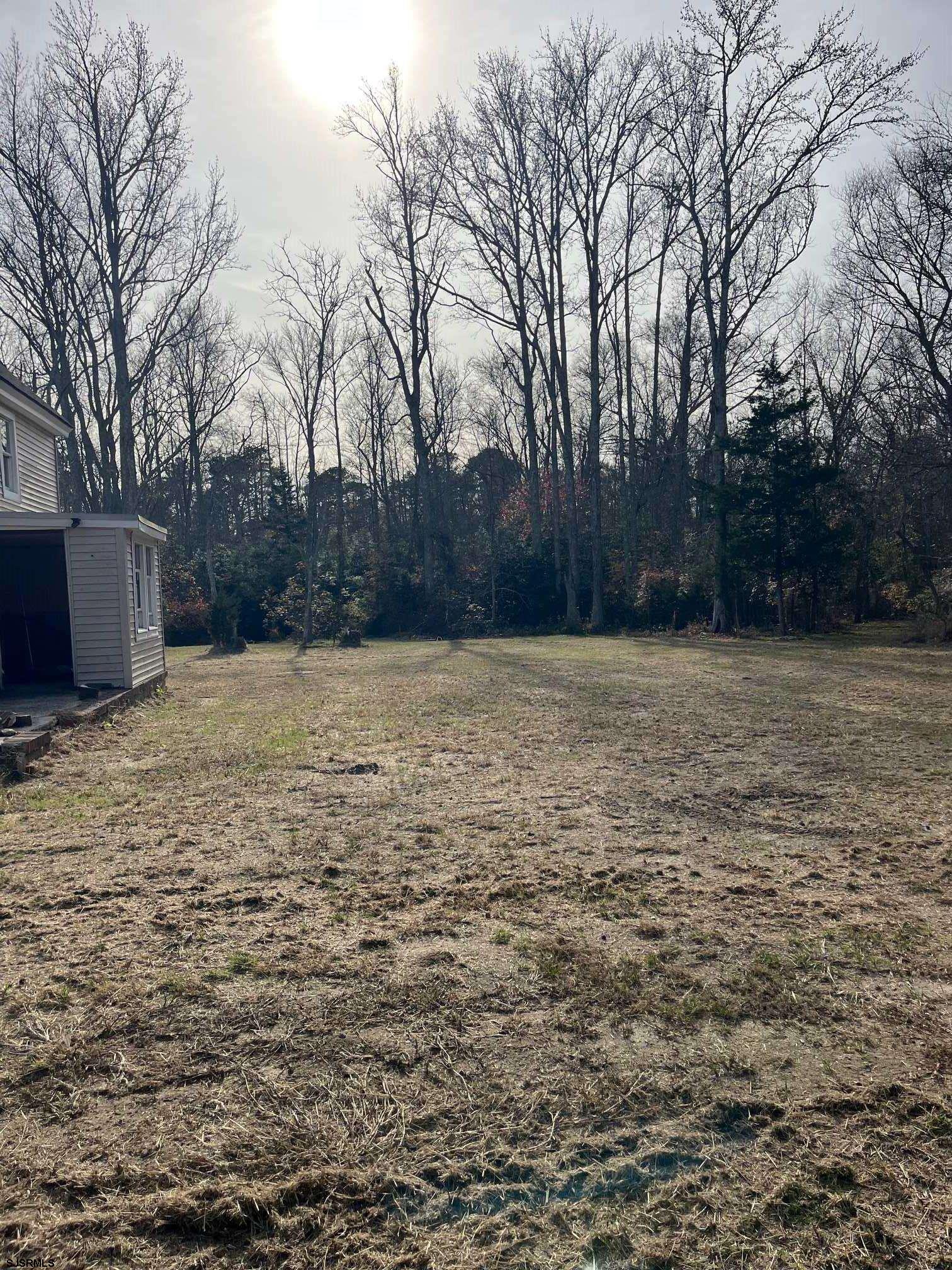 225 Zion Road - Picture 3