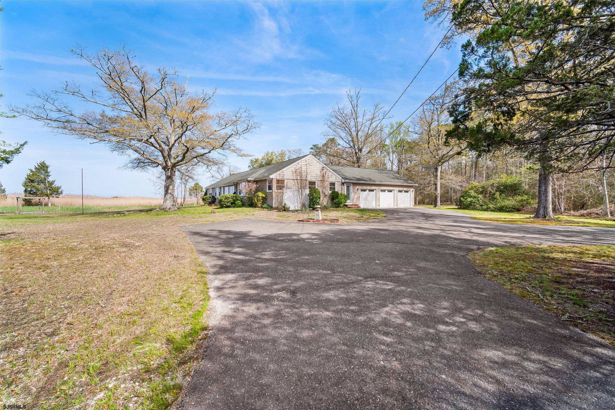 333 Betsey Scull - Picture 