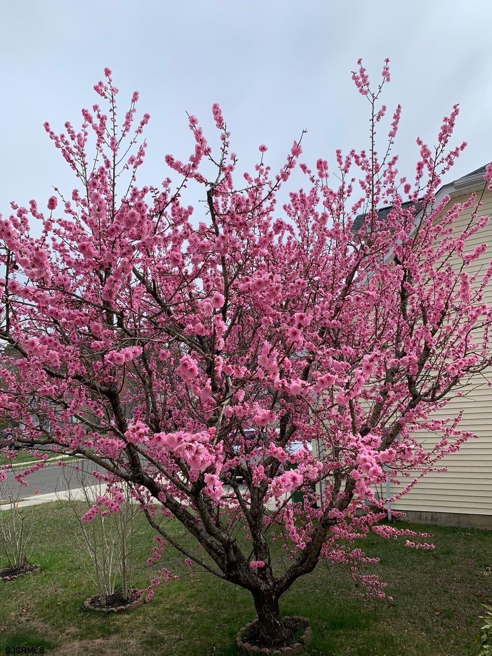 205 Beacon Hill Dr Dr