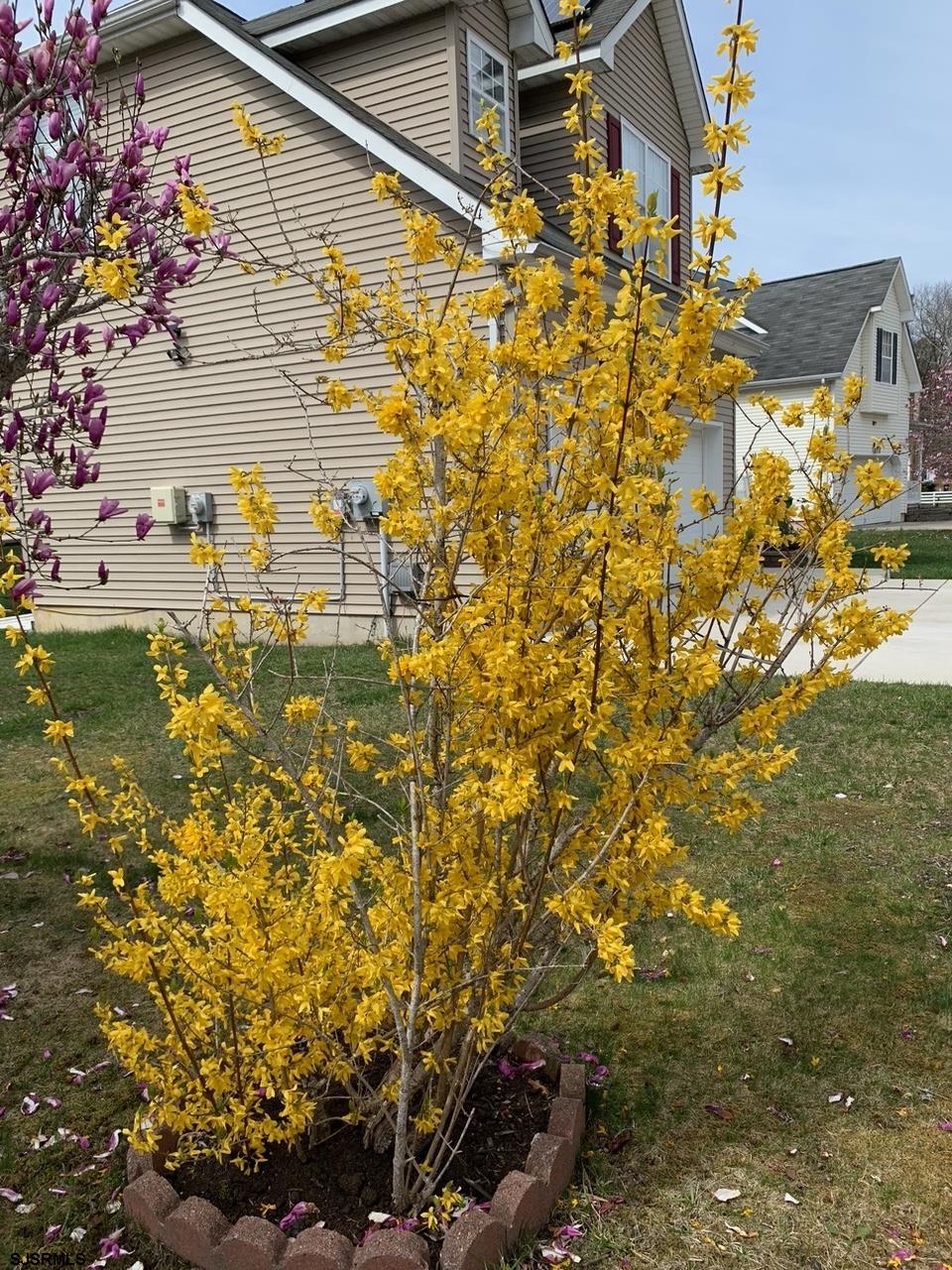 205 Beacon Hill Dr Dr