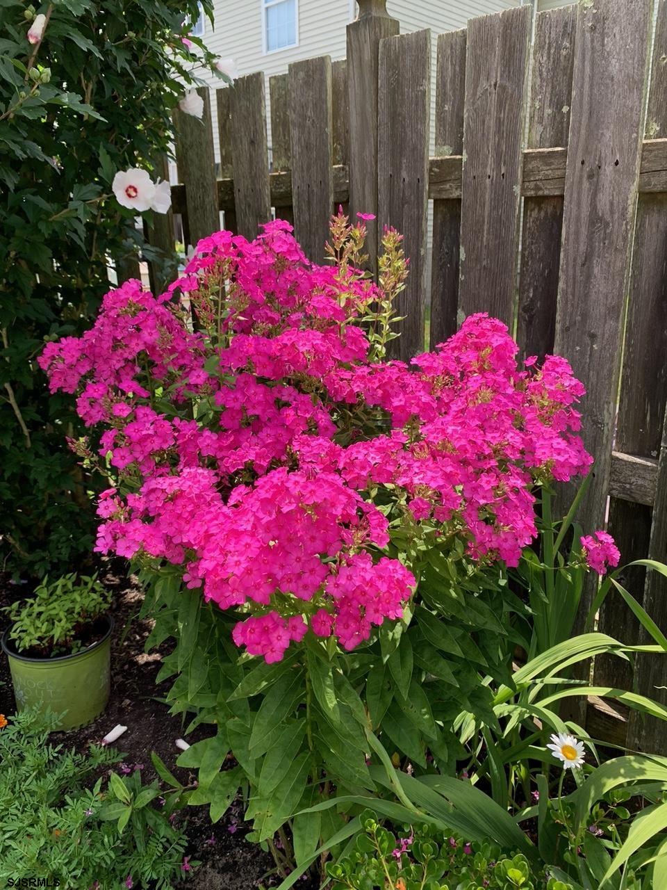 205 Beacon Hill Dr Dr