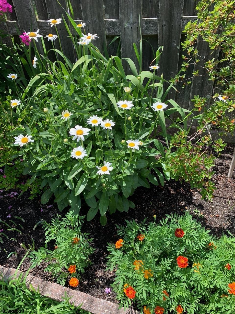 205 Beacon Hill Dr Dr