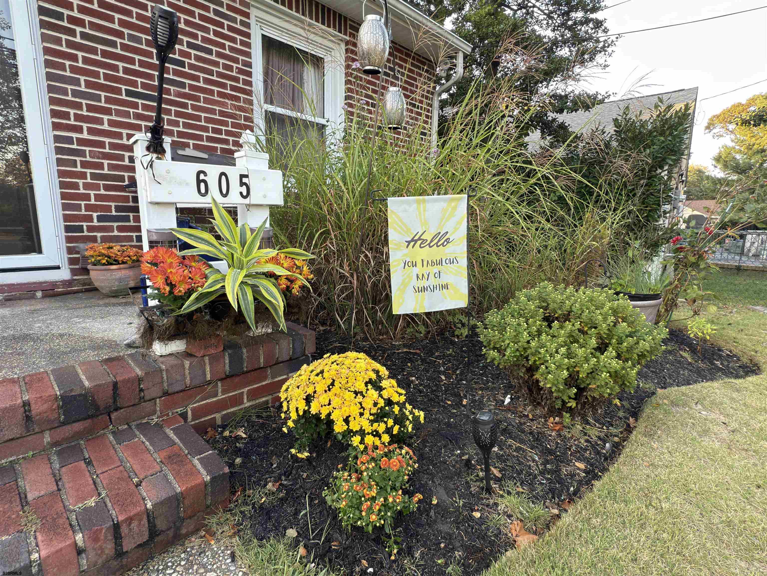 image6