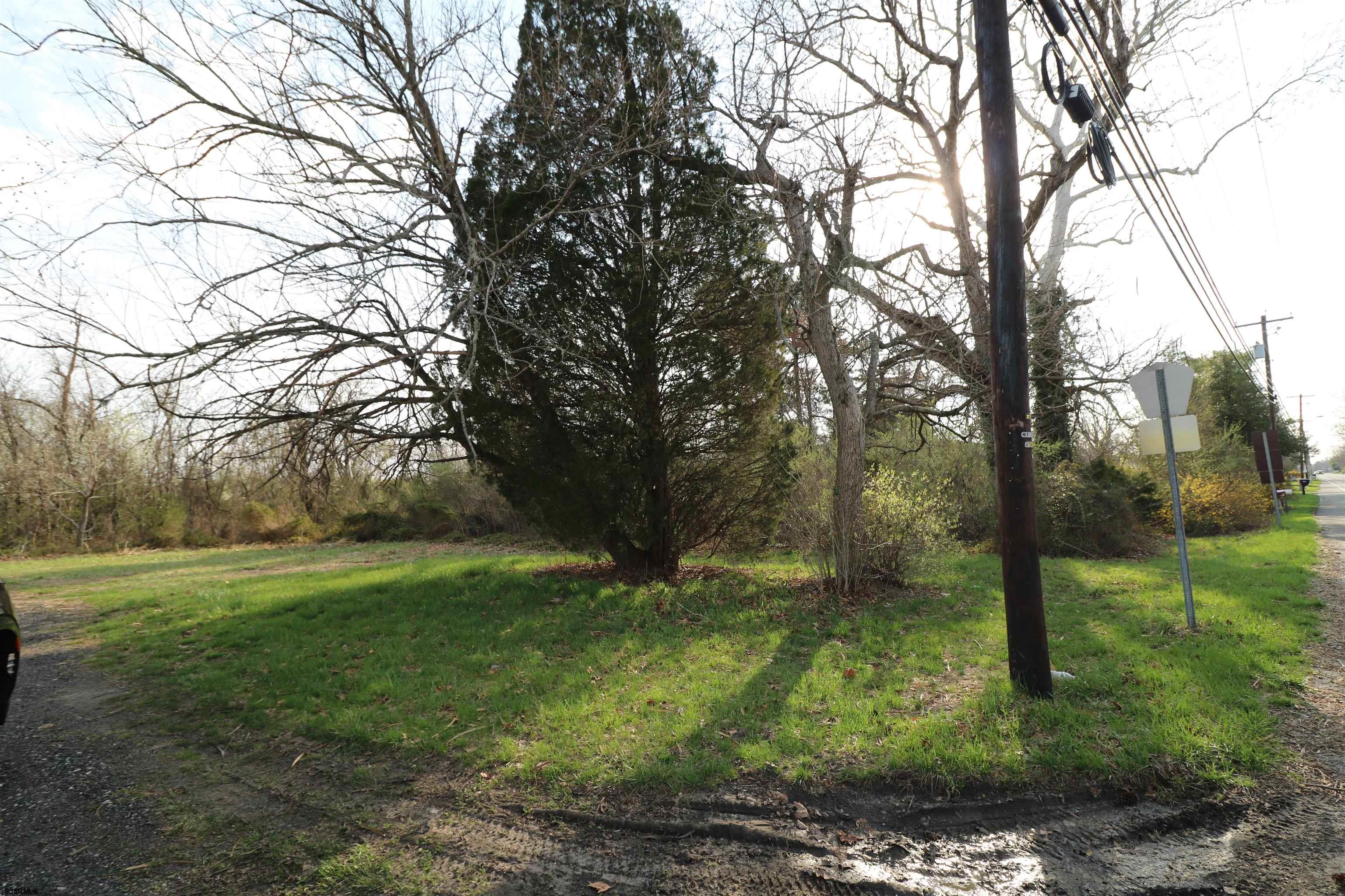 3605 Nesco 