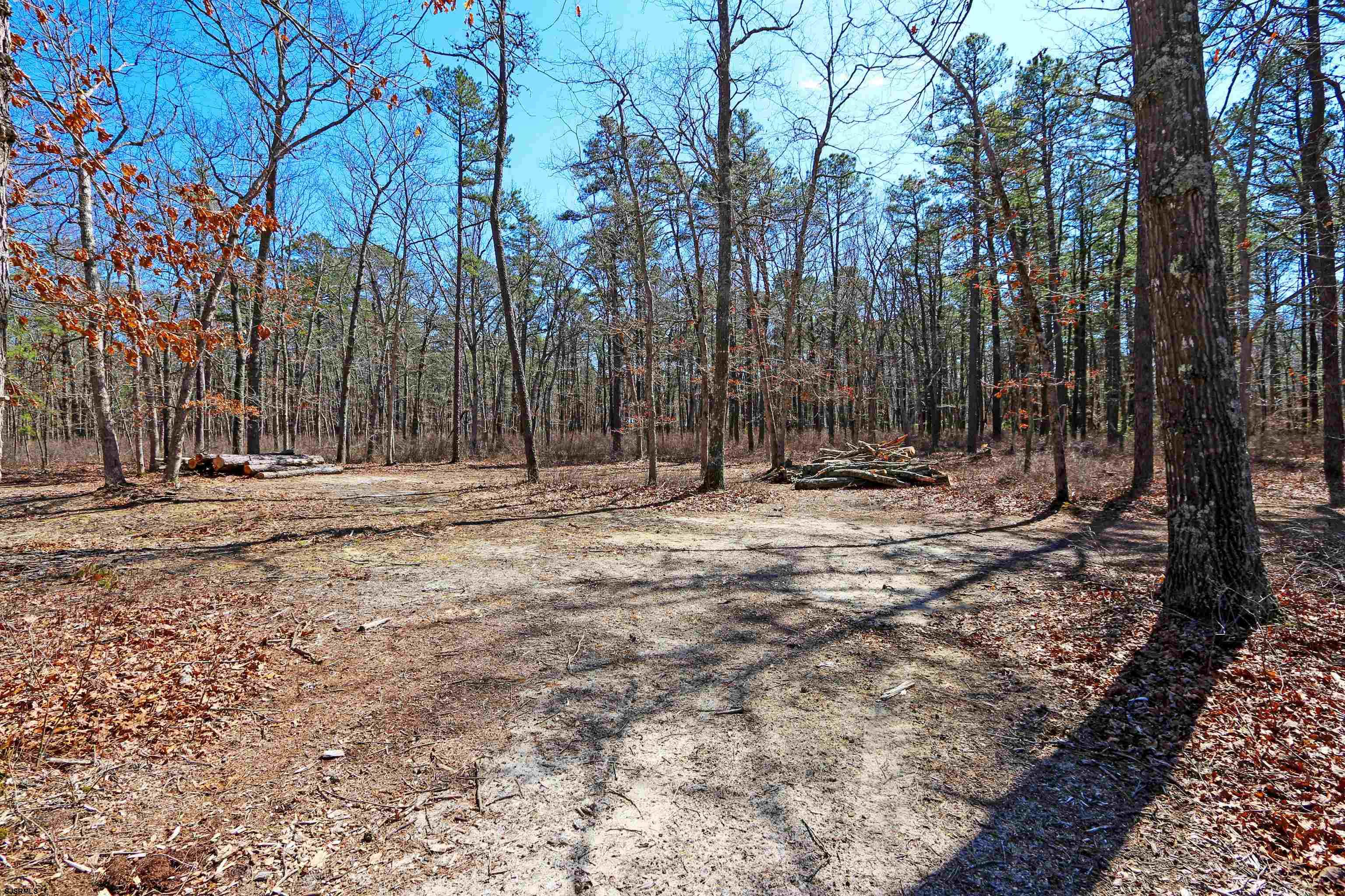 606429 | Photo 67