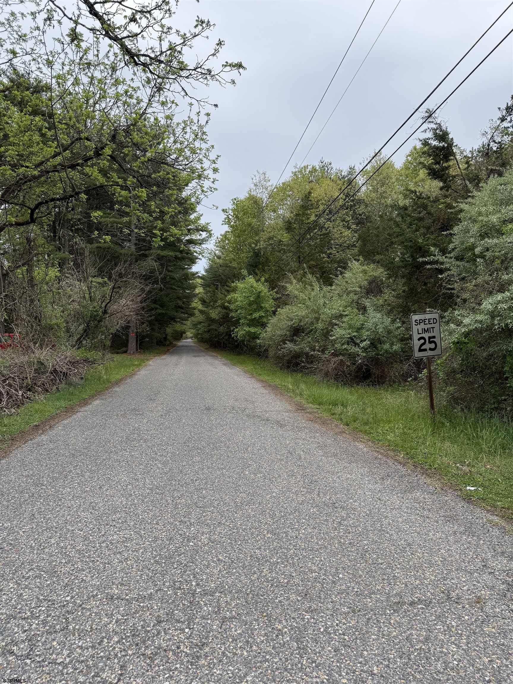 607655 | Photo 2