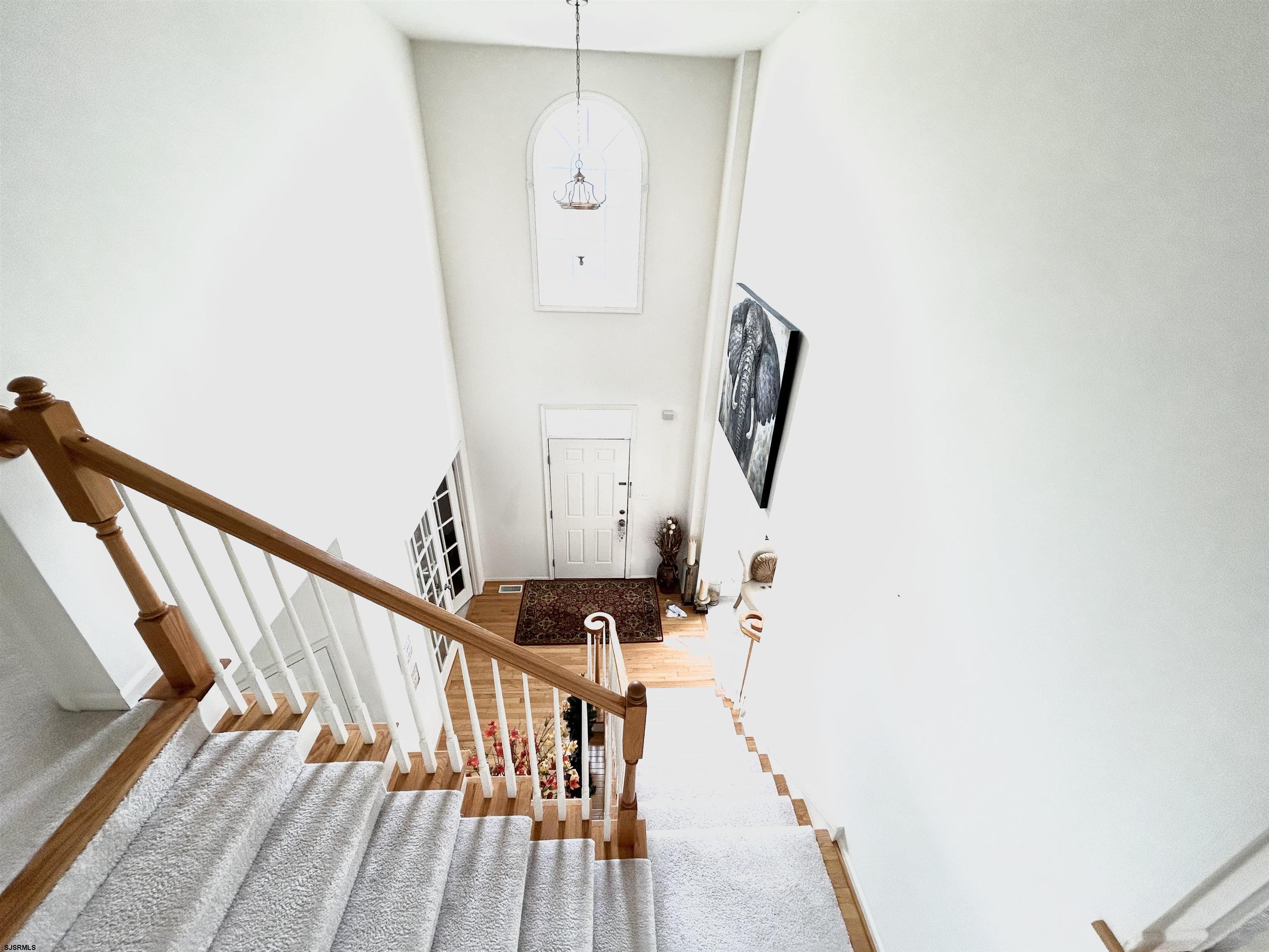 607719 | Photo 19