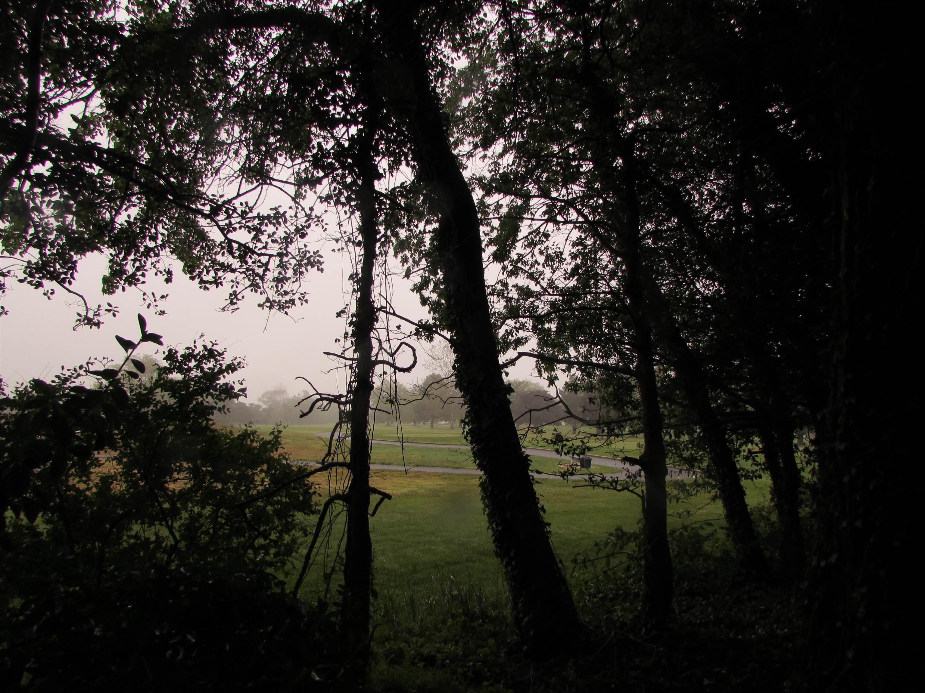 608196 | Photo 40