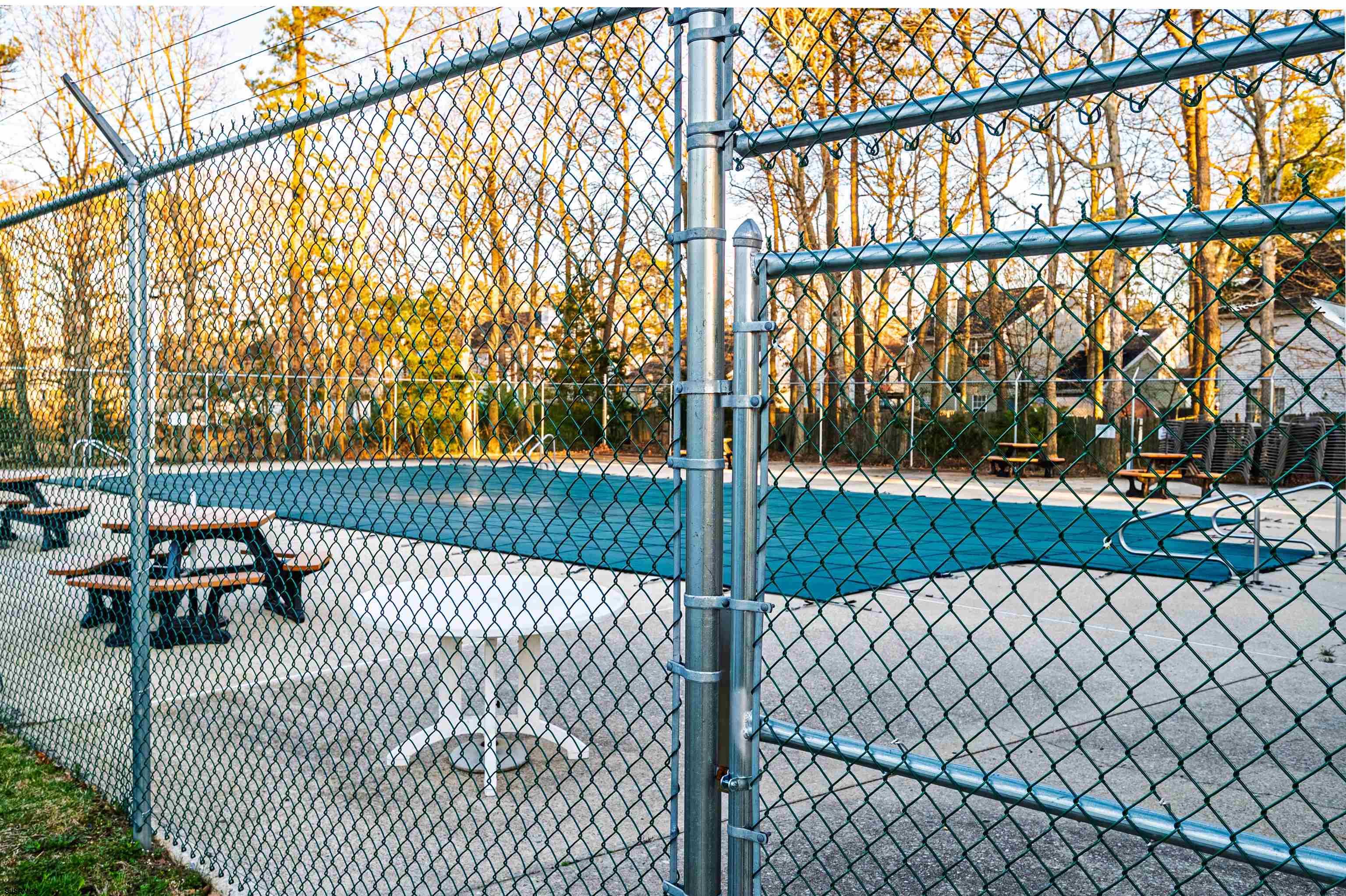 608578 | Photo 28