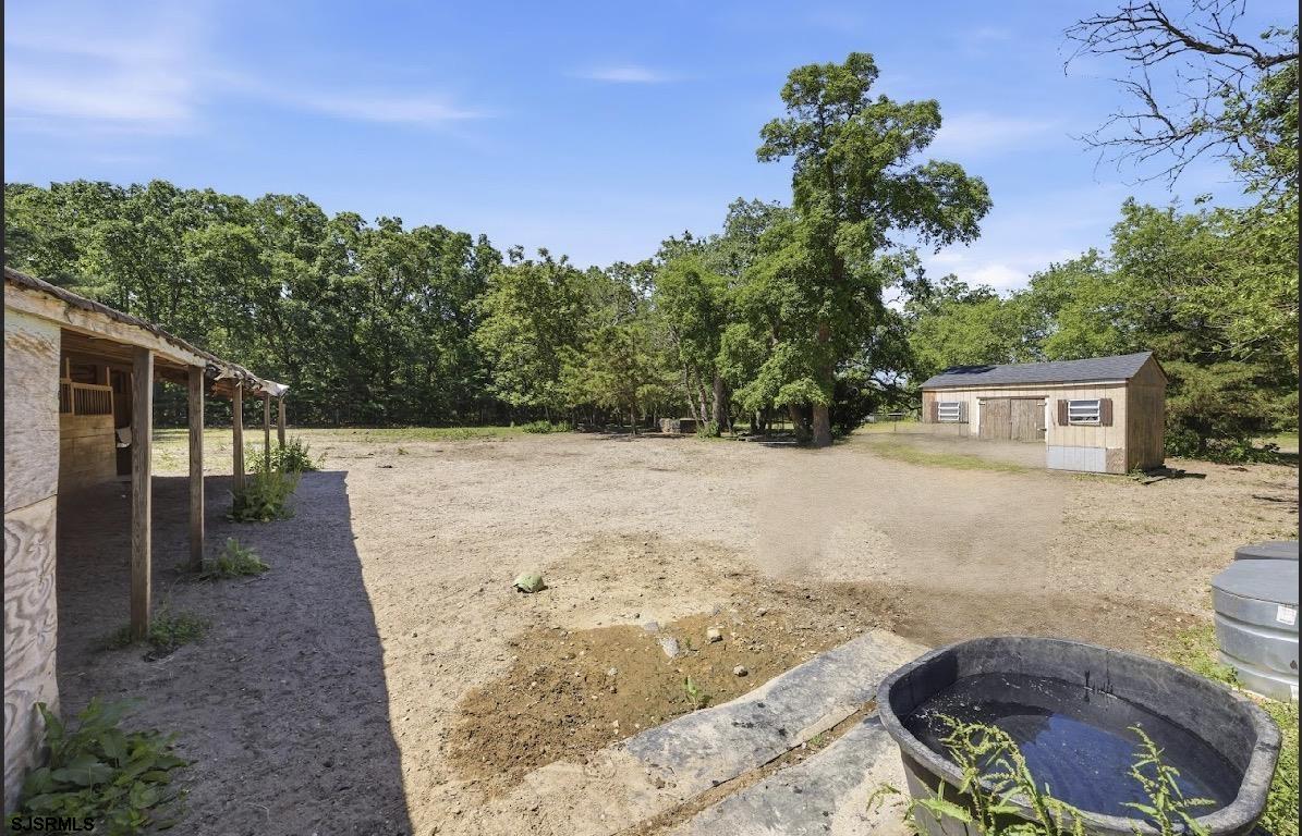 3431 Nesco Road