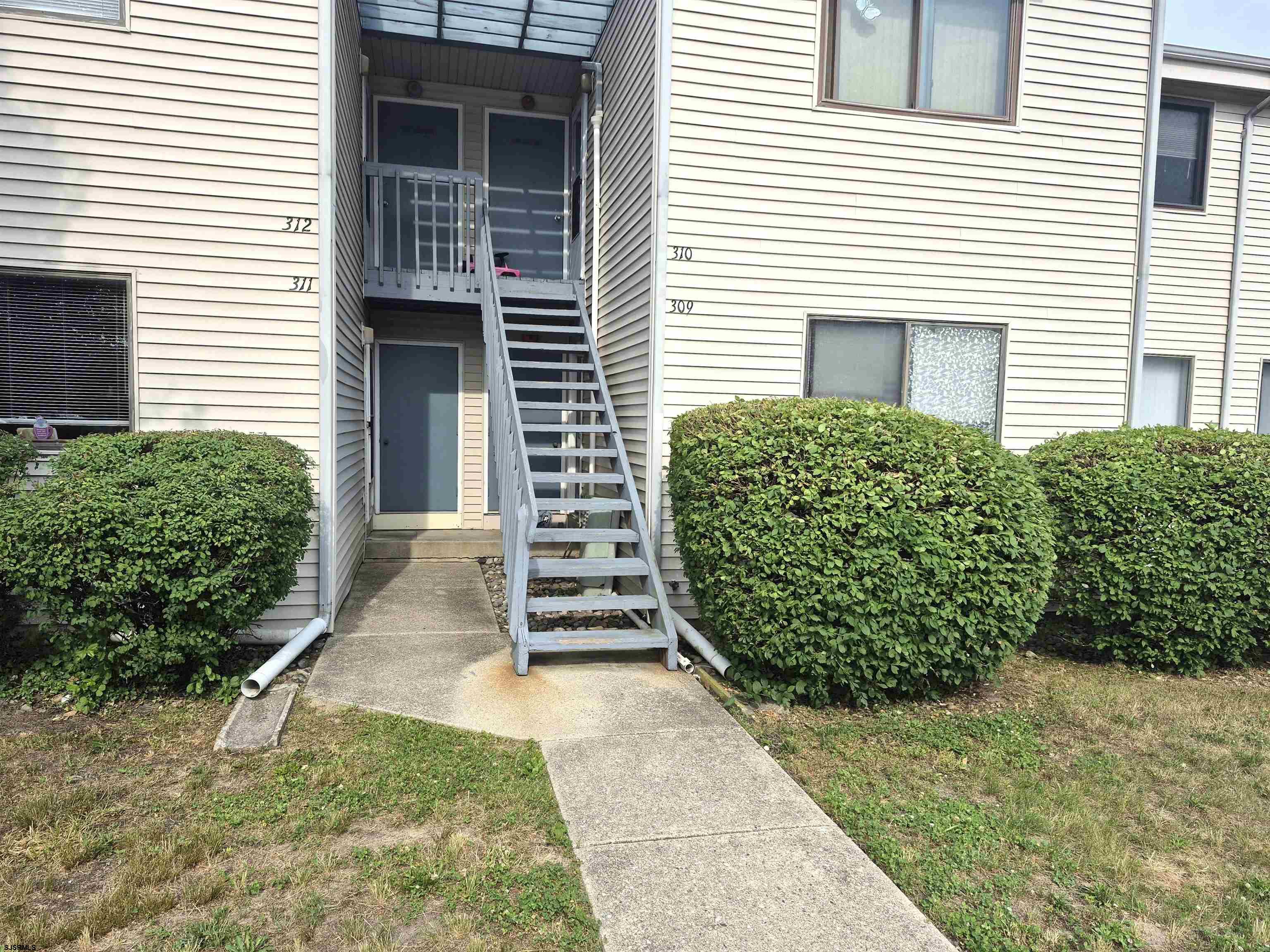 309 Noahs - Picture 1