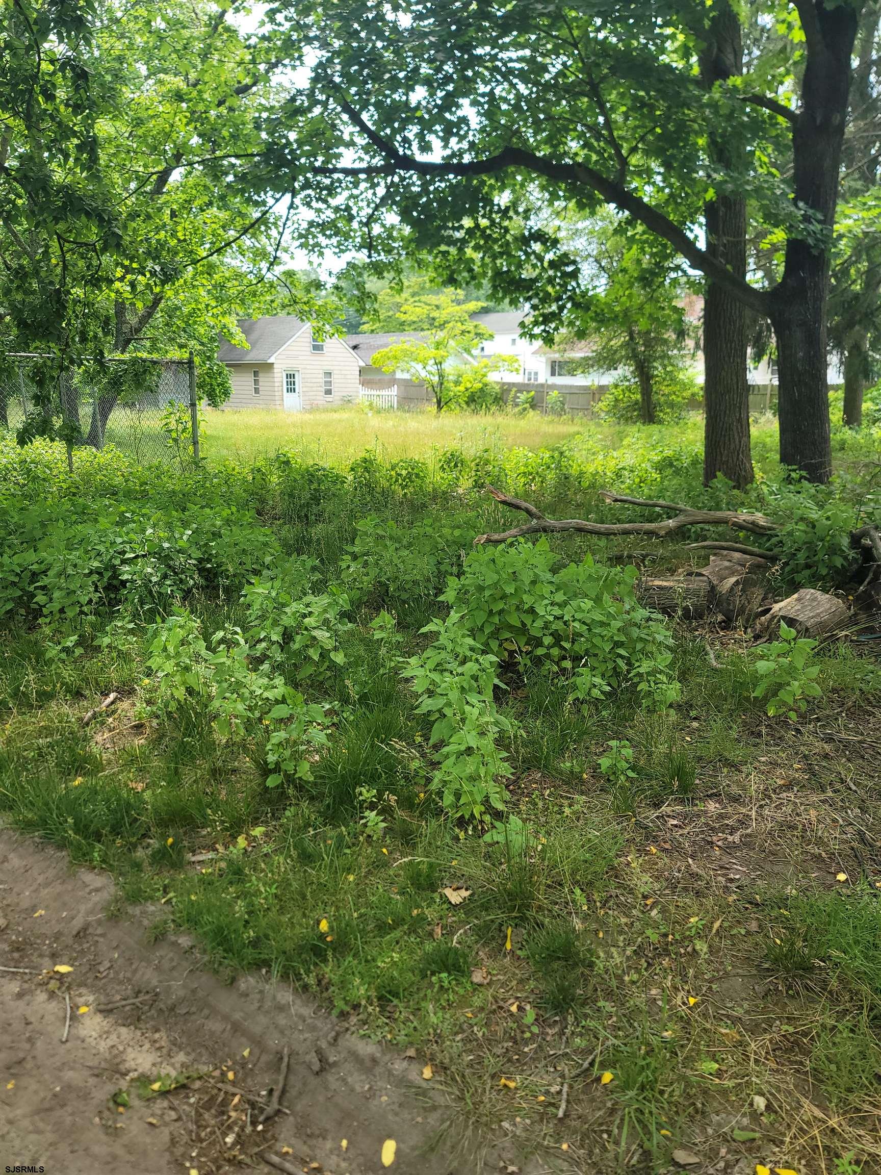 608657 | Photo 20