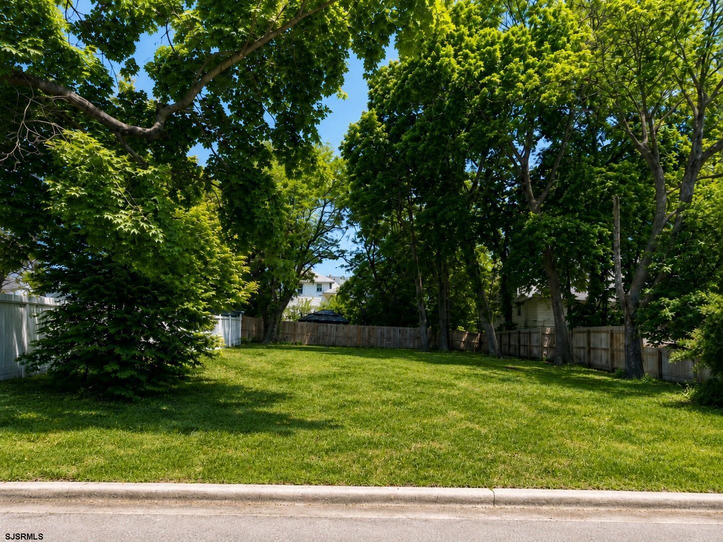 608711 | Photo 2