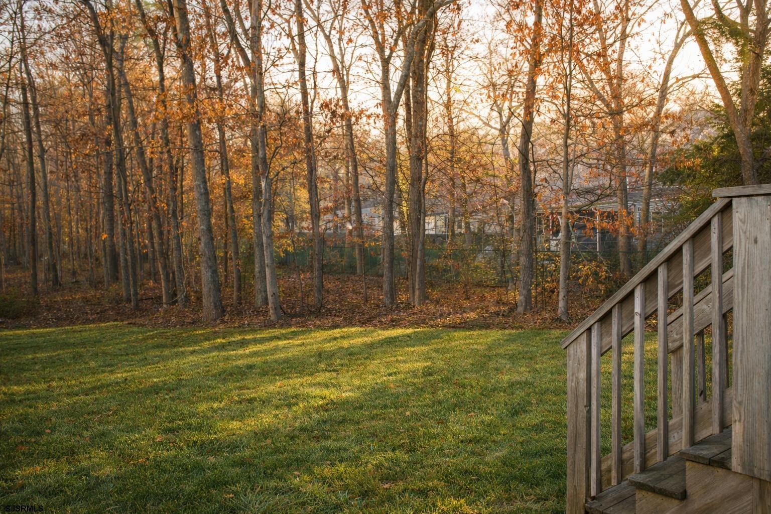 608734 | Photo 54