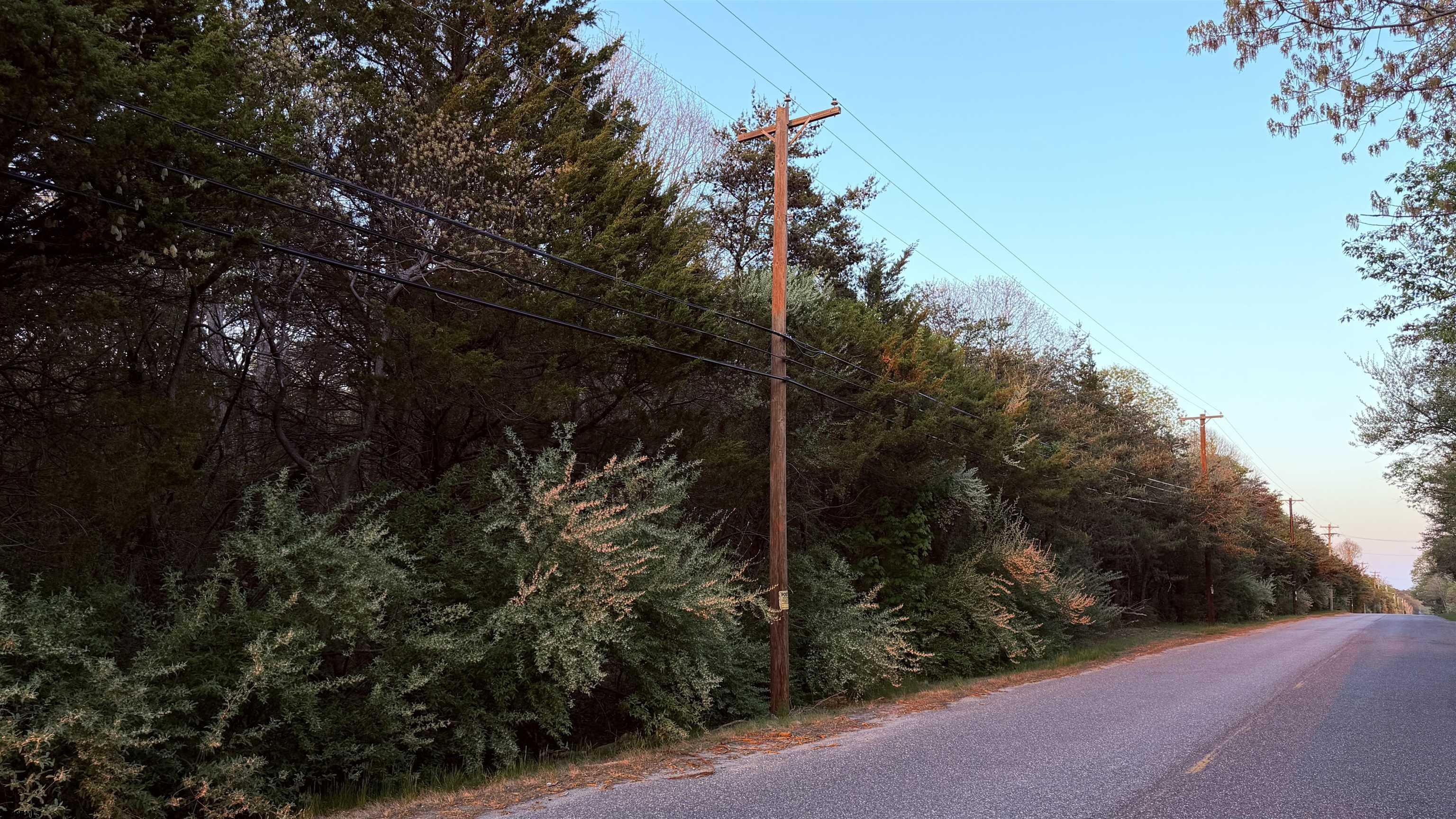 608765 | Photo 14