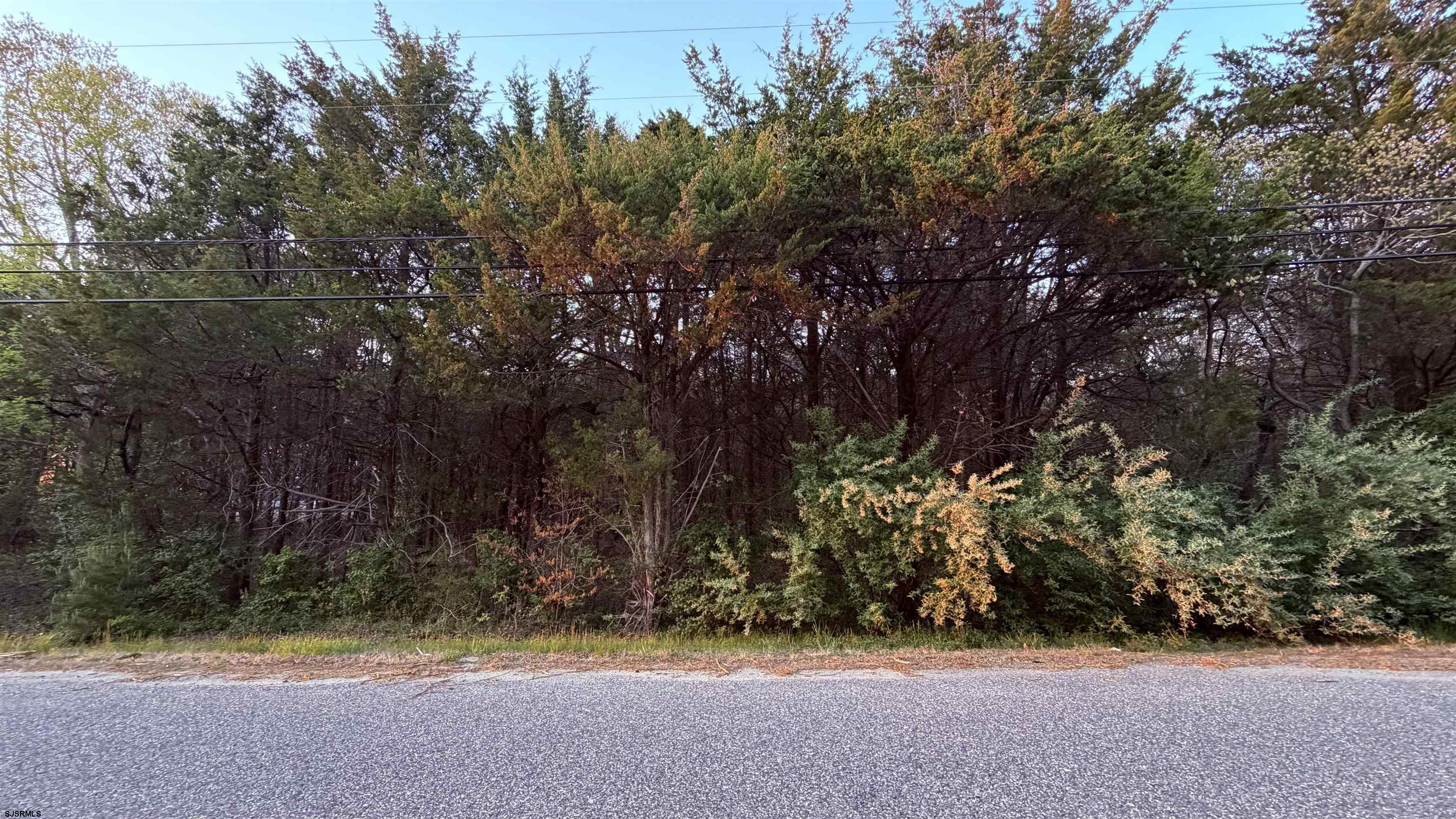608765 | Photo 15