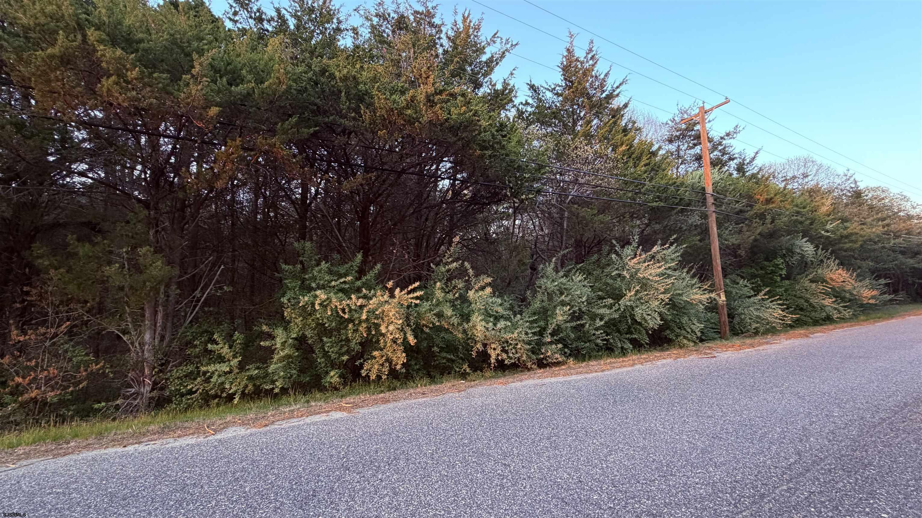 608765 | Photo 16