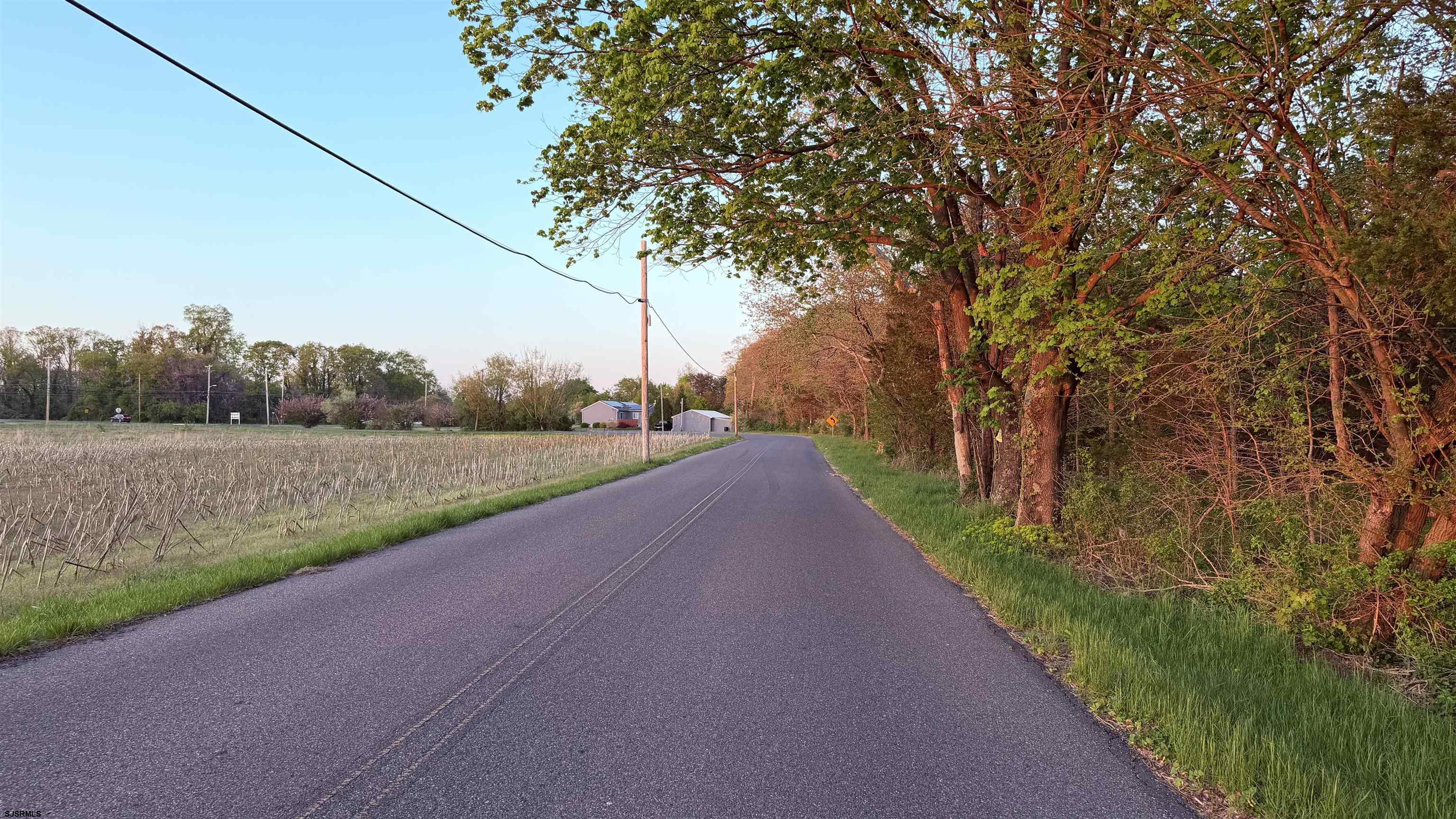 608765 | Photo 7