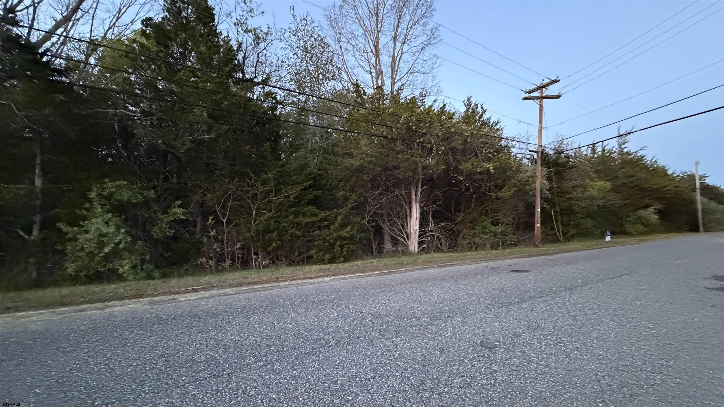 608765 | Photo 10