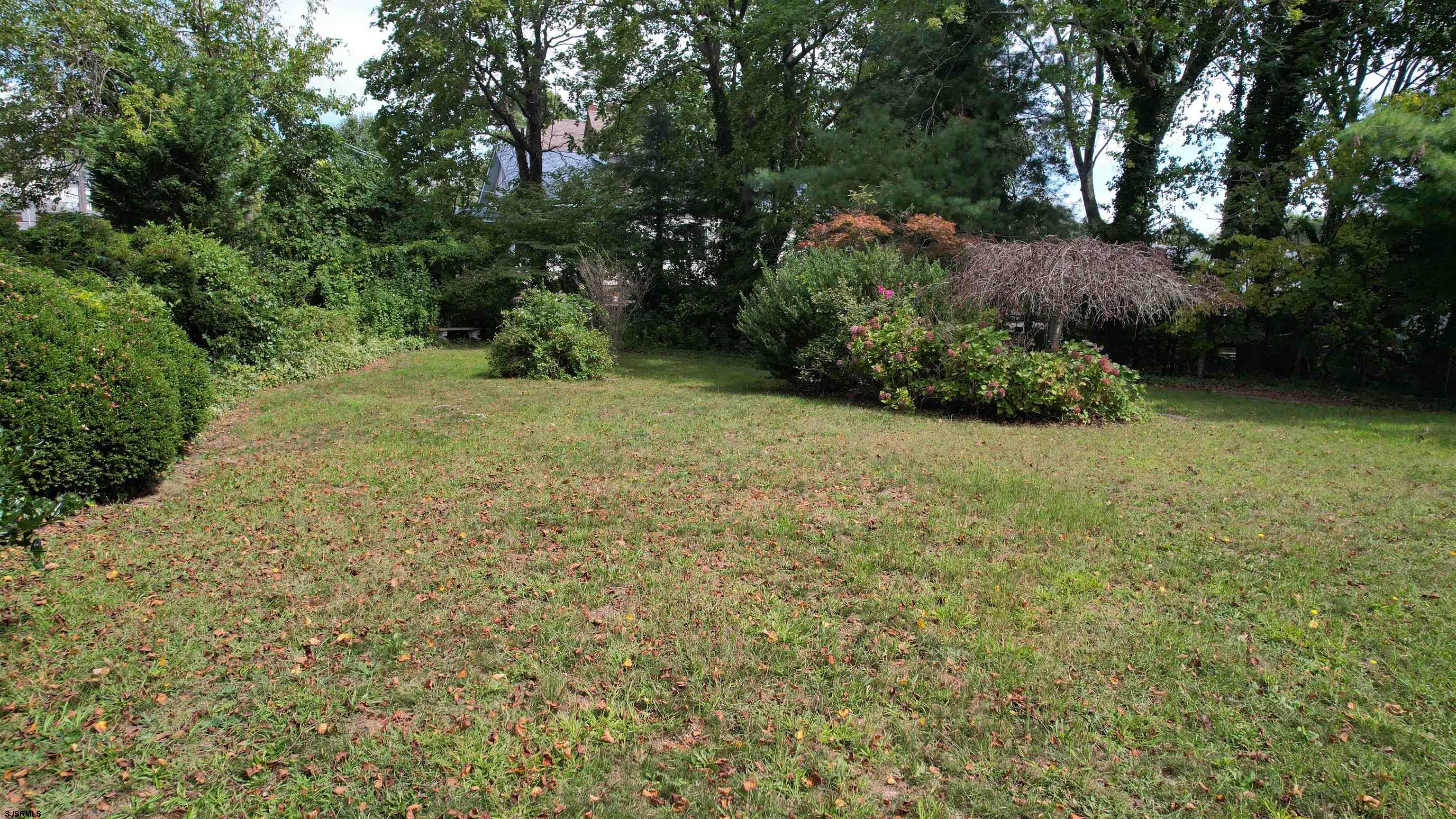 608777 | Photo 80
