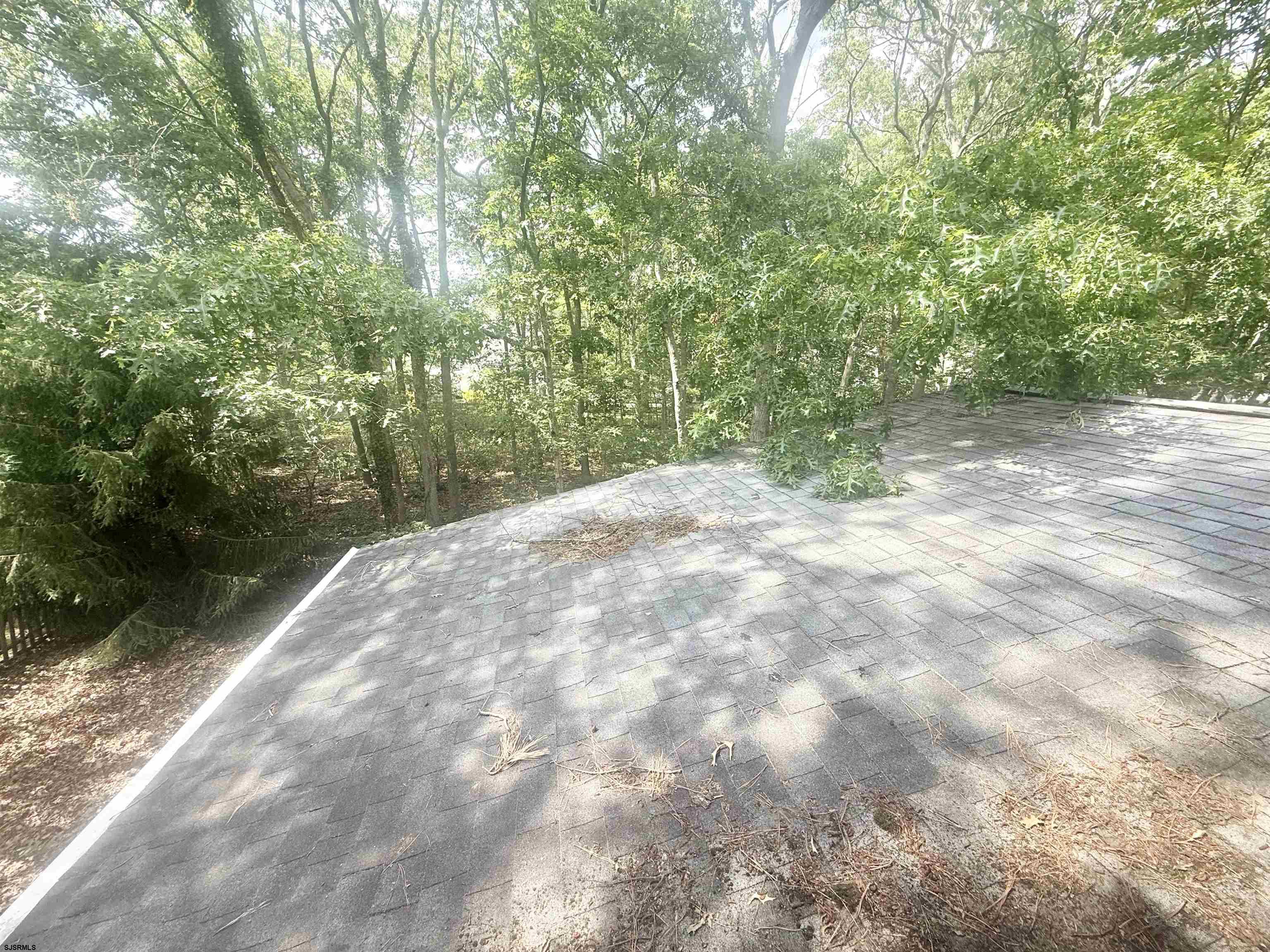 608856 | Photo 26