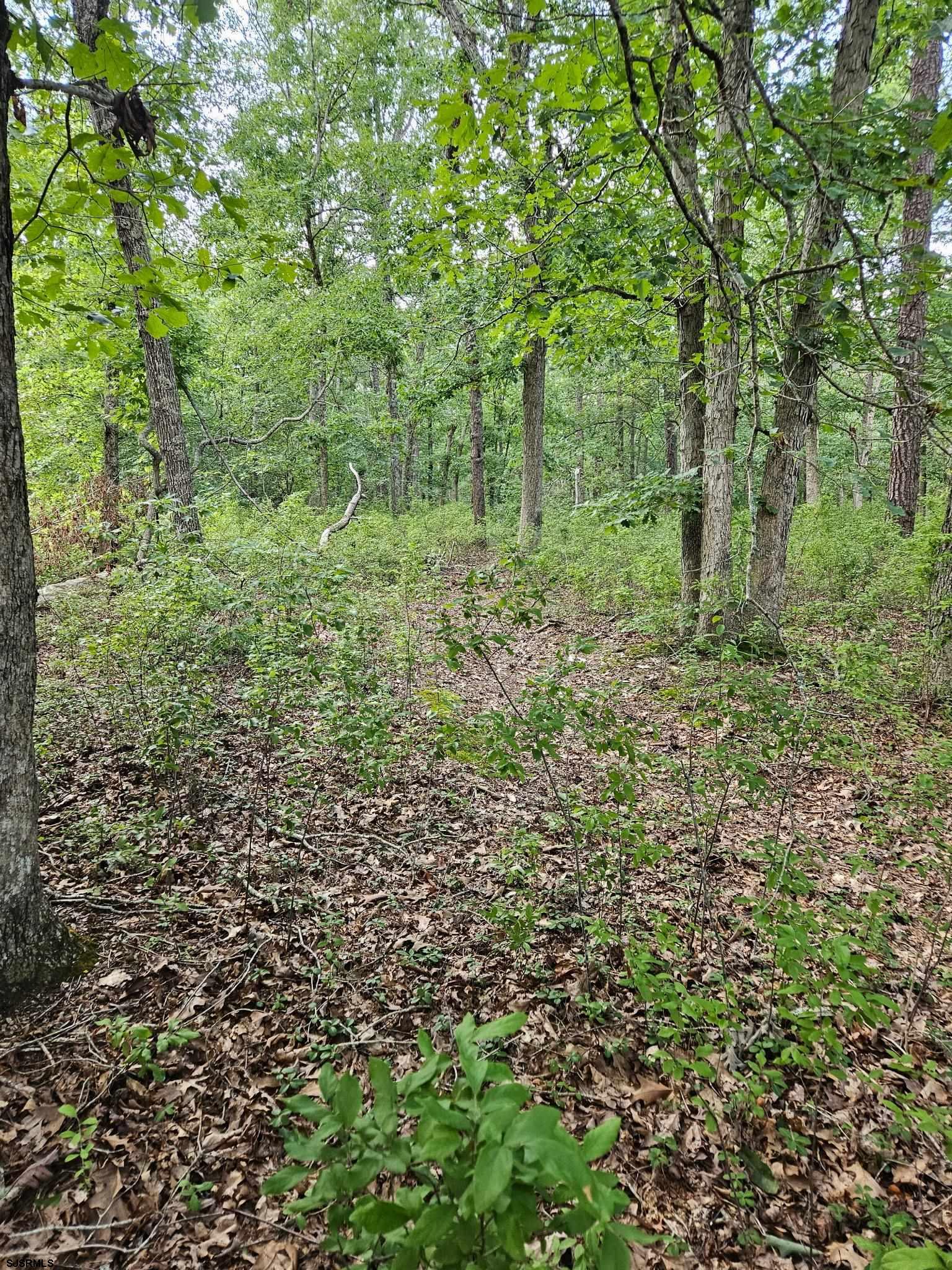 pic4