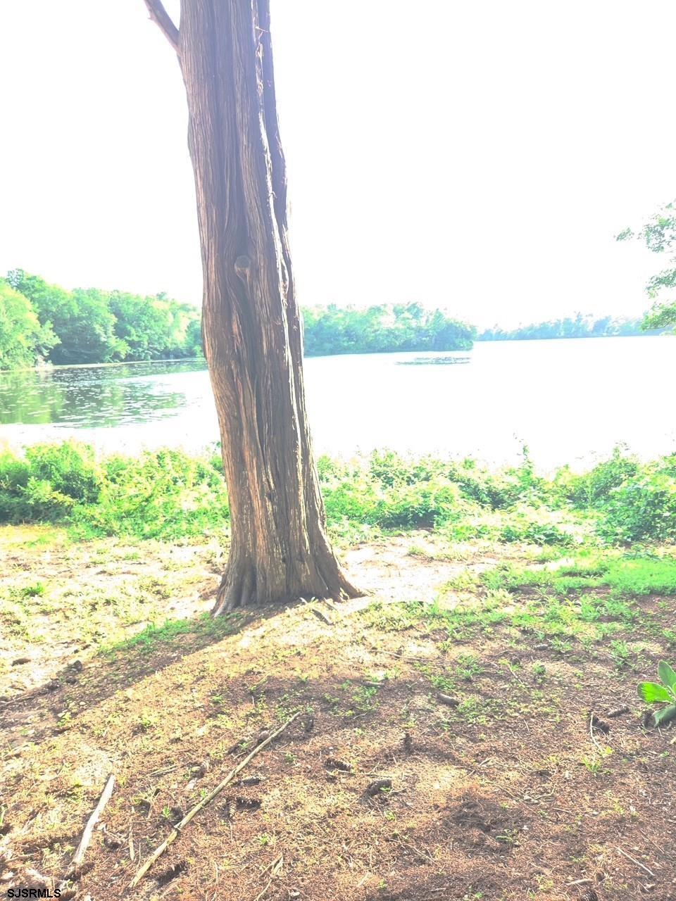 610848 | Photo 21