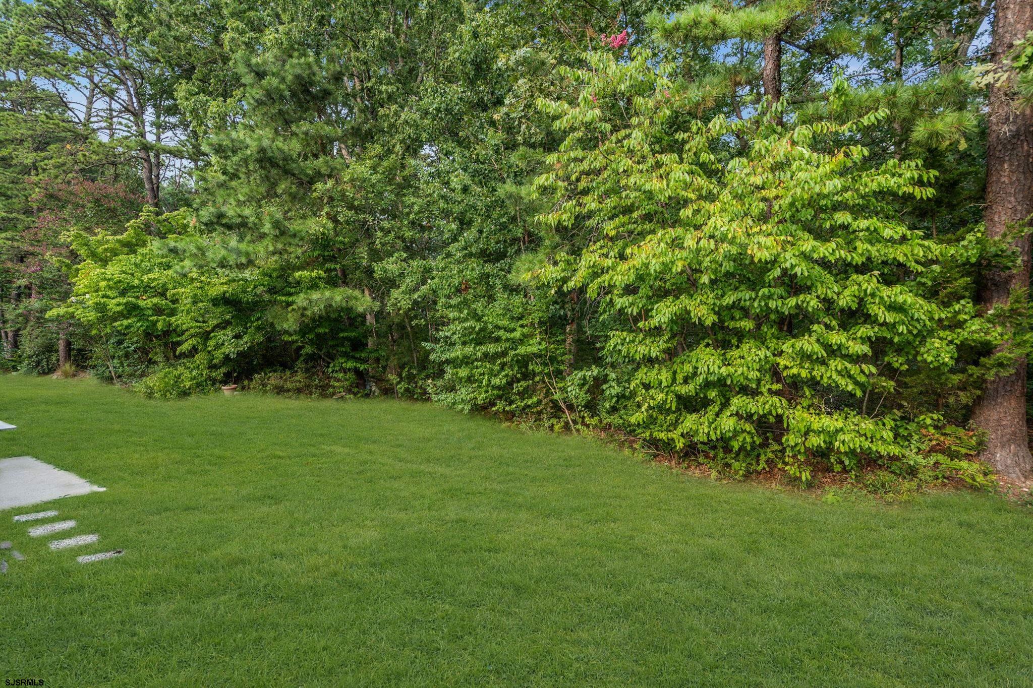 610896 | Photo 28