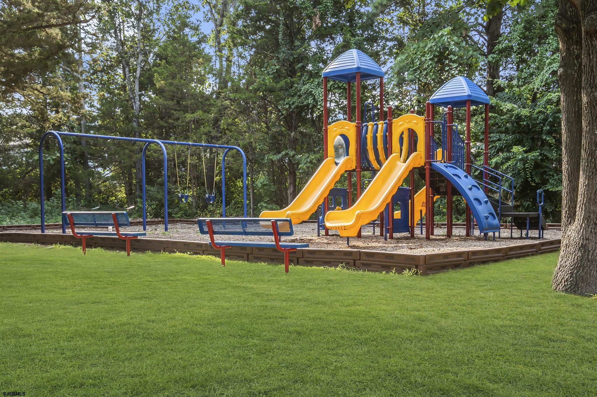 611169 | Photo 24