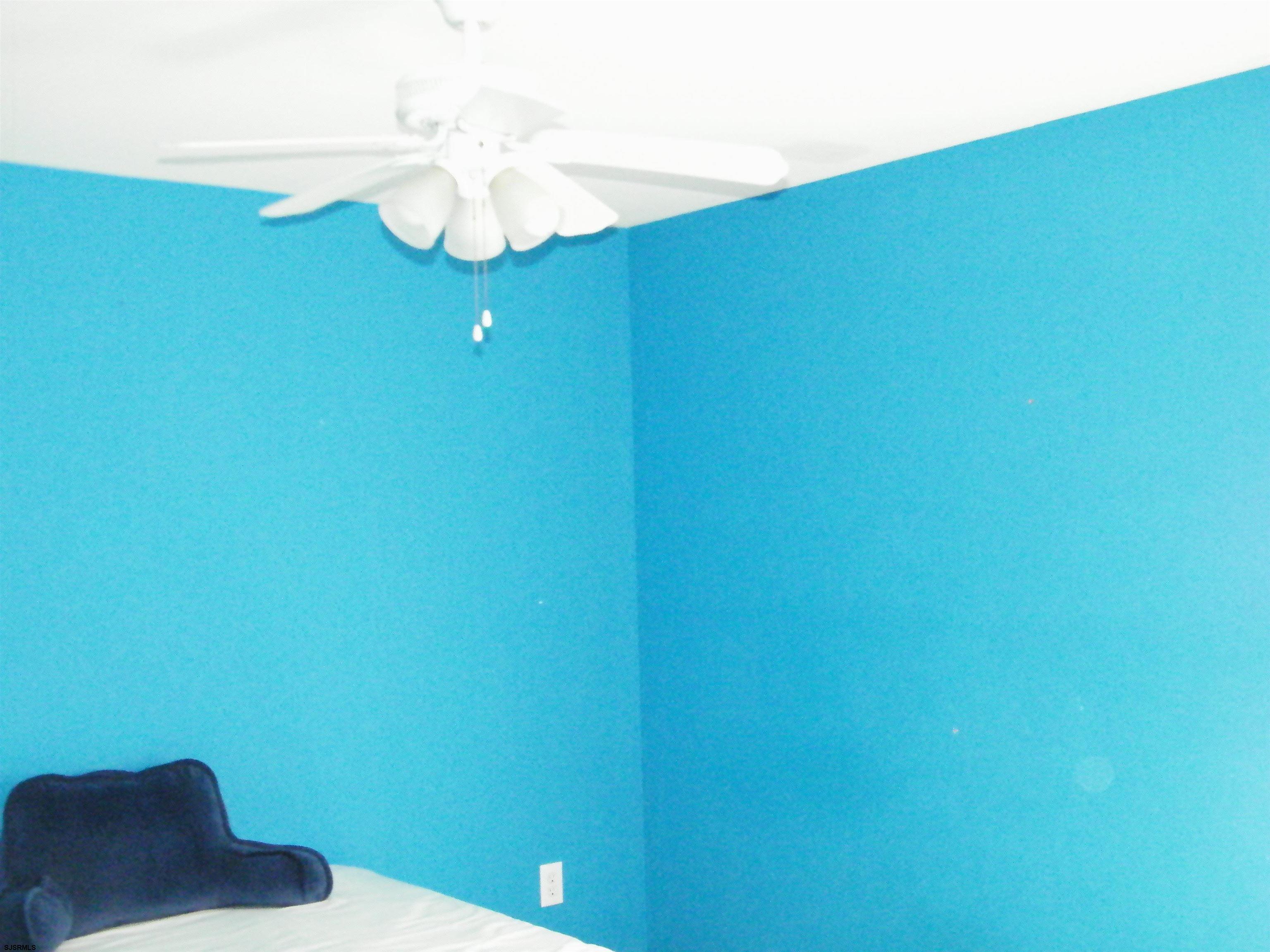 611781 | Photo 5
