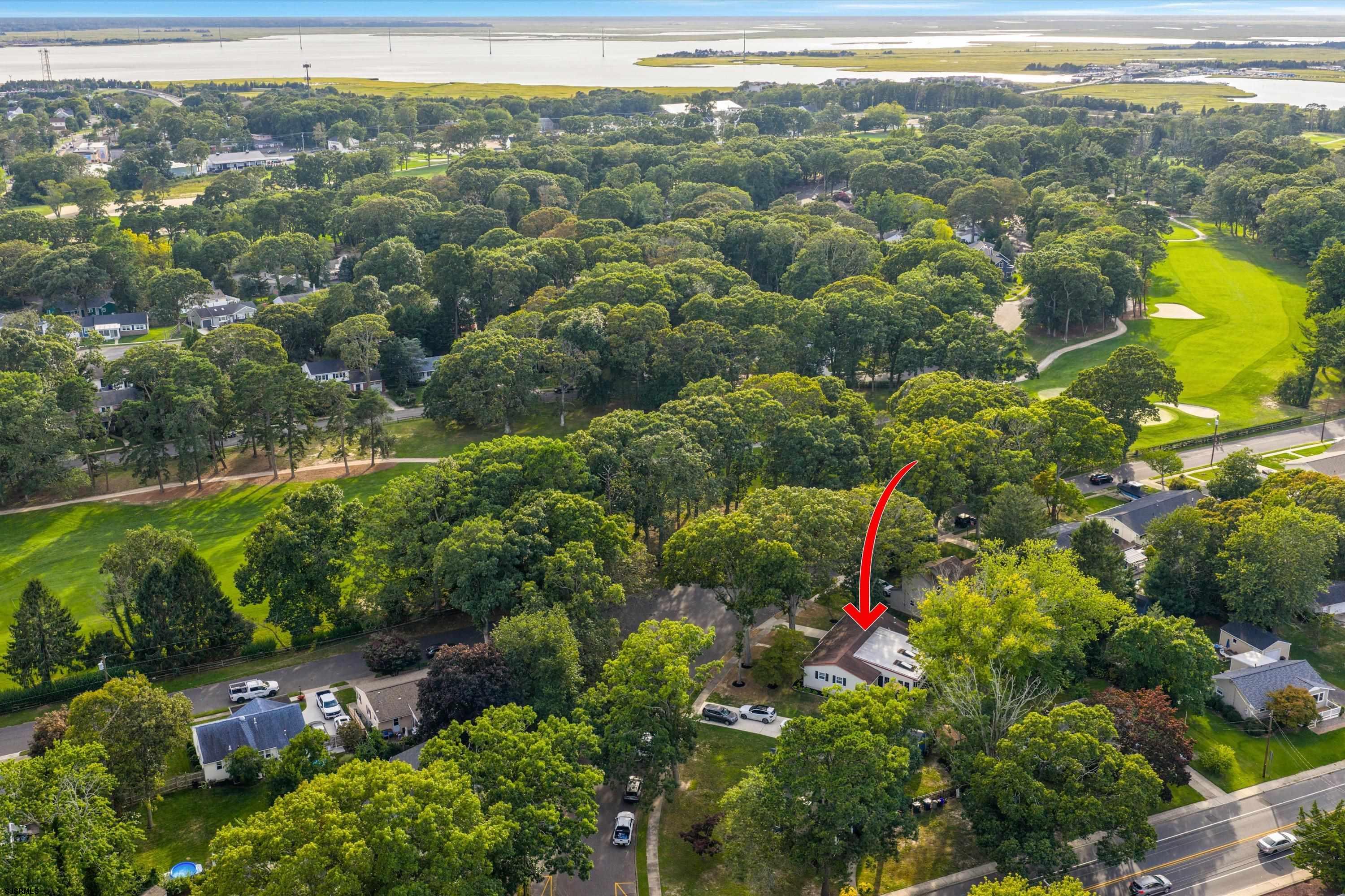 12 Dogwood Dr - Picture 4