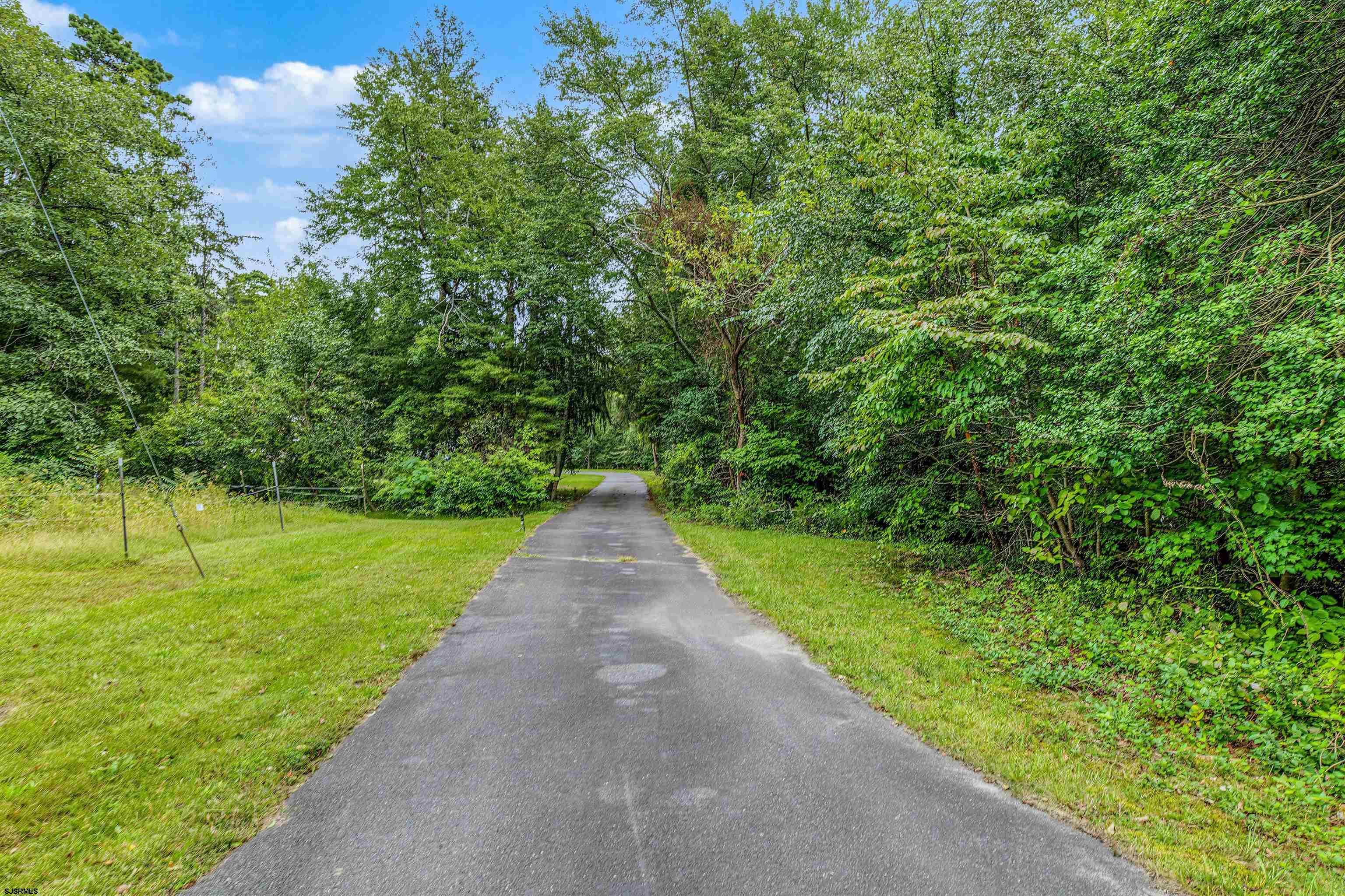 164 Old Egg Harbor Road - Picture 4