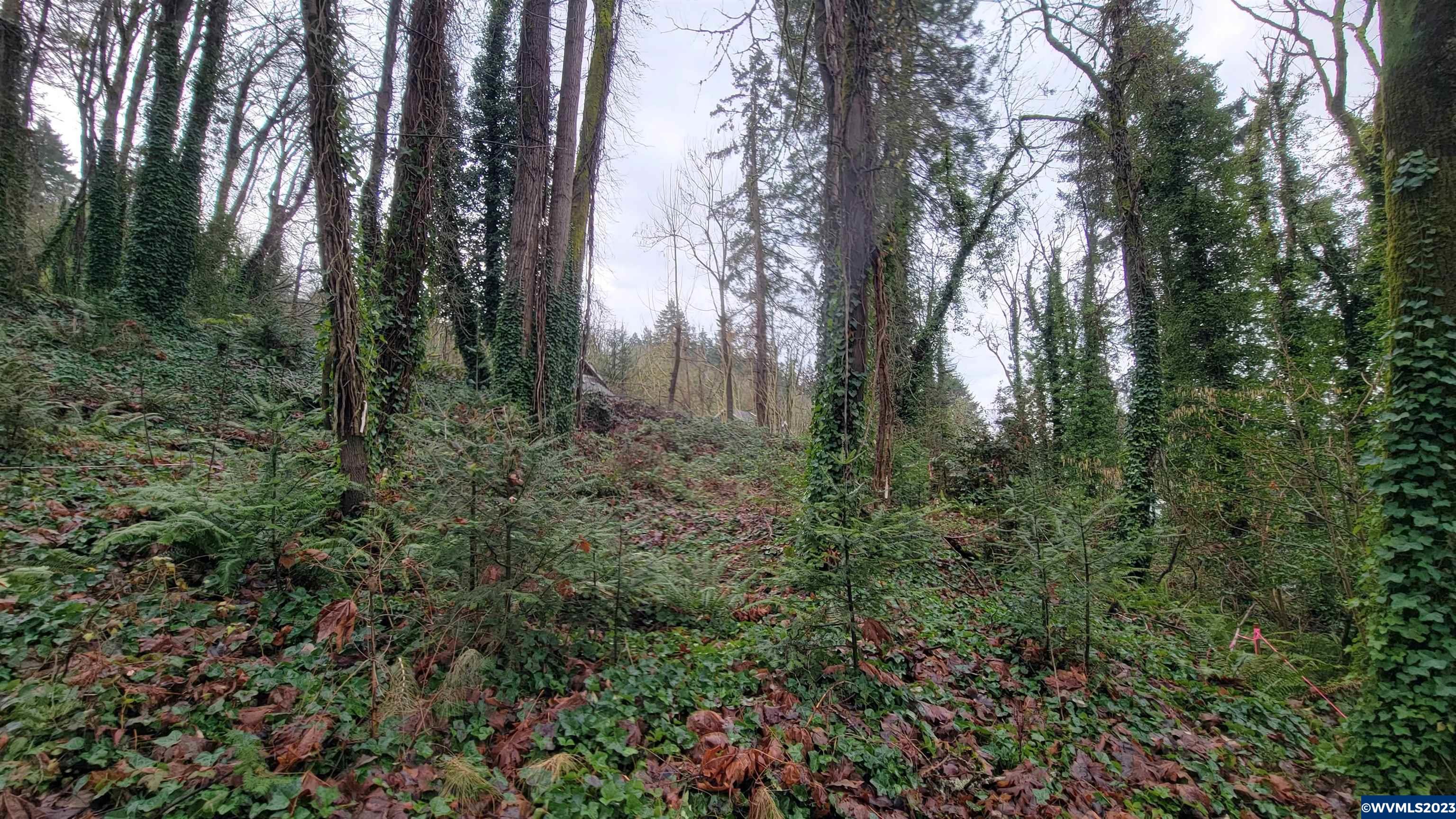 306 4th Av, Oregon City, OR, 97045