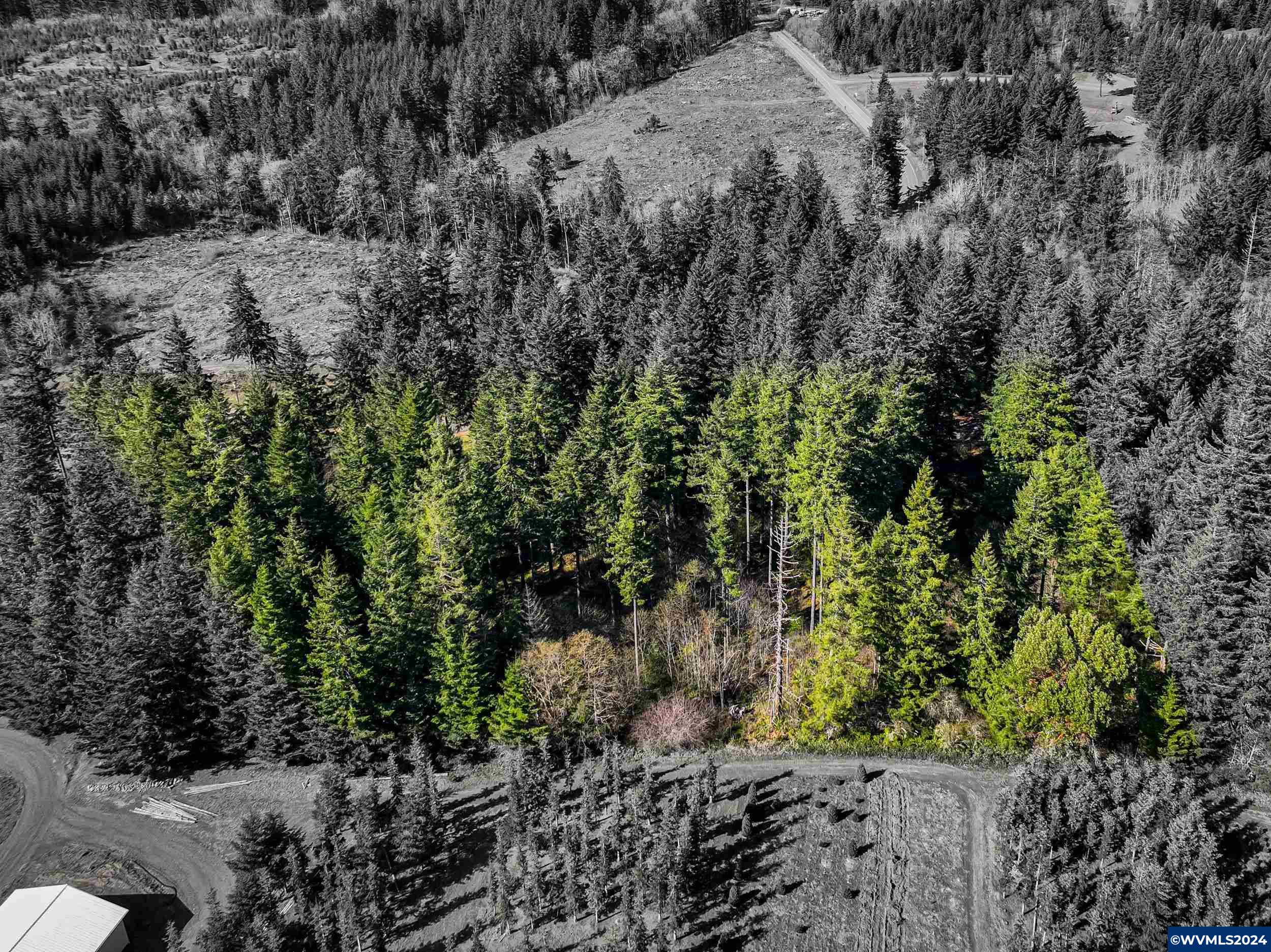 (Near 34123) Cushman (Lot 1400) Rd, Albany, OR, 97321