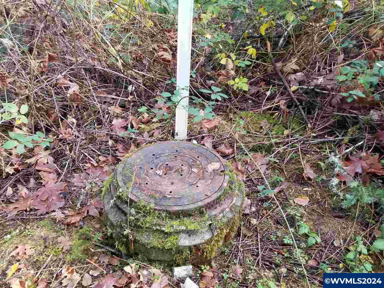 Image 14