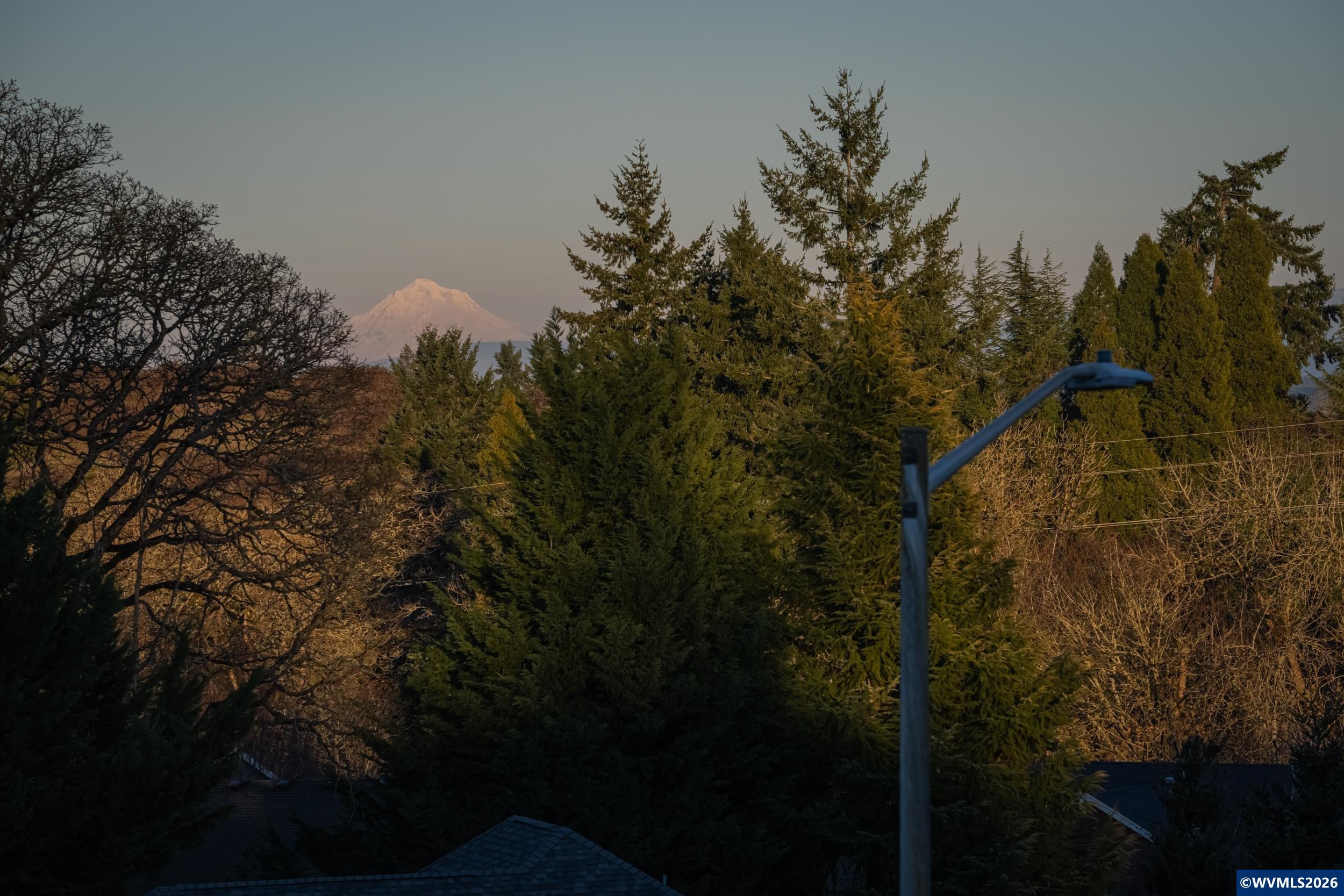 Image 24