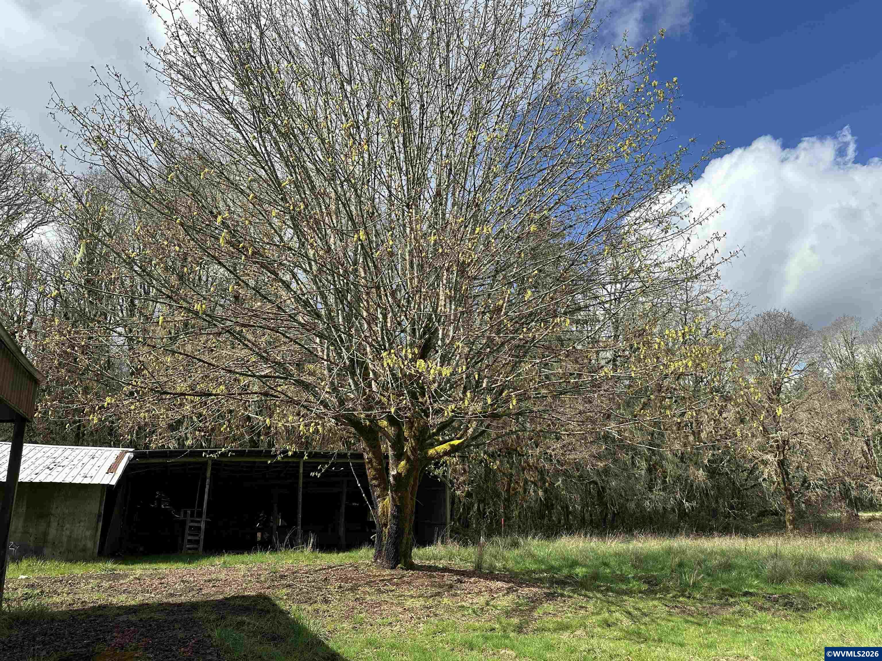 26622 Fudge Rd, Alsea, OR, 97324