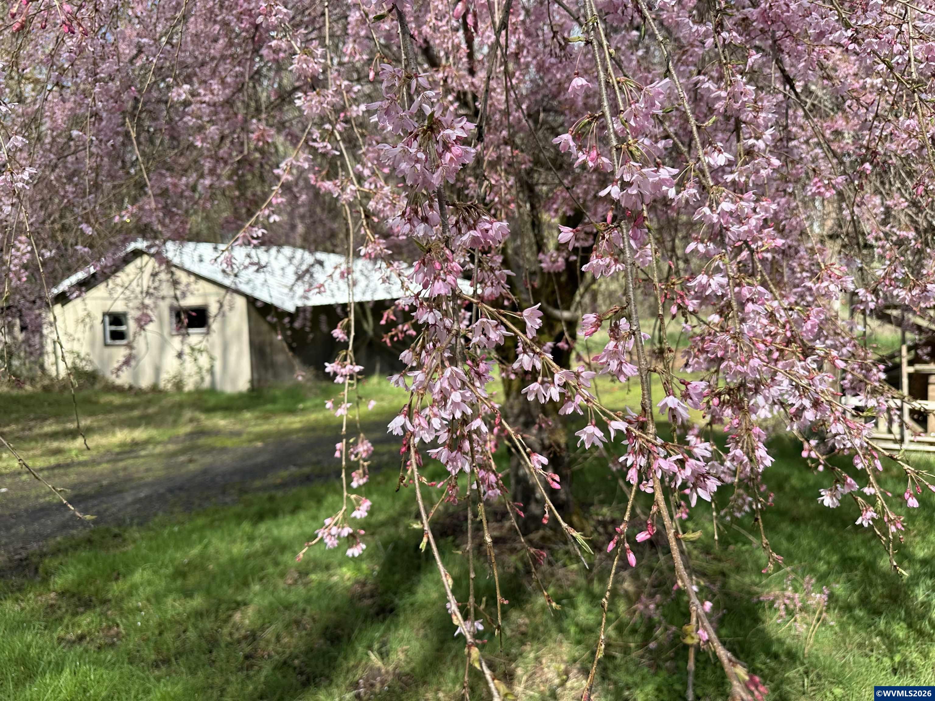 26622 Fudge Rd, Alsea, OR, 97324