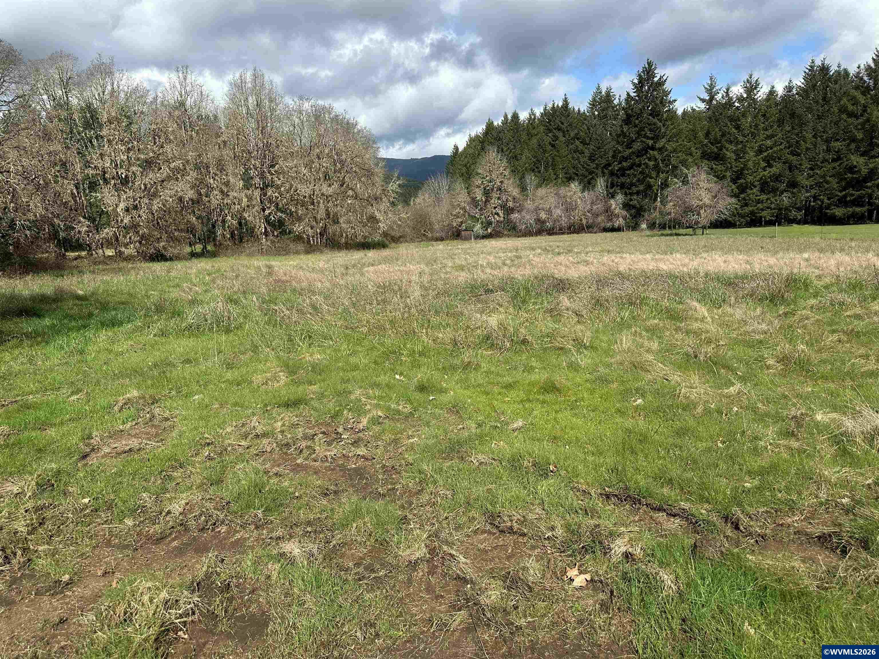 26622 Fudge Rd, Alsea, OR, 97324